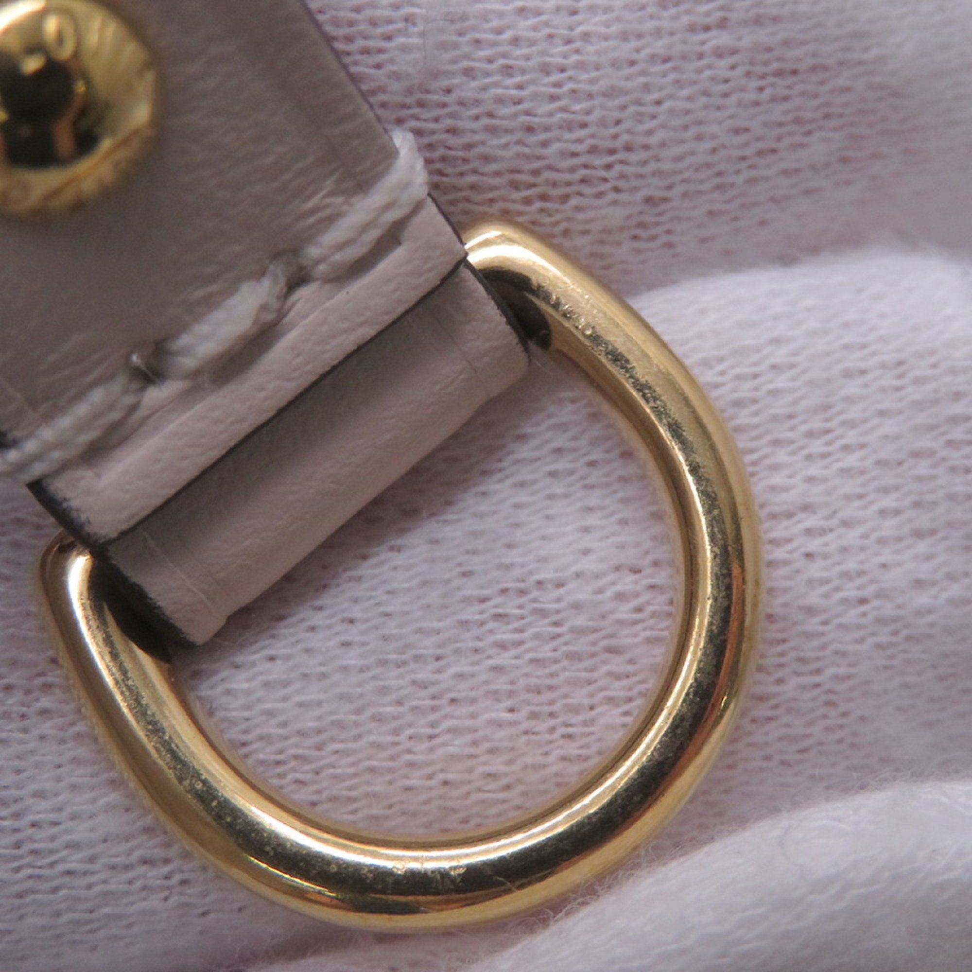 Louis Vuitton Leopard Monogram Monogram Pouch Tote Bag (Pre-Owned)