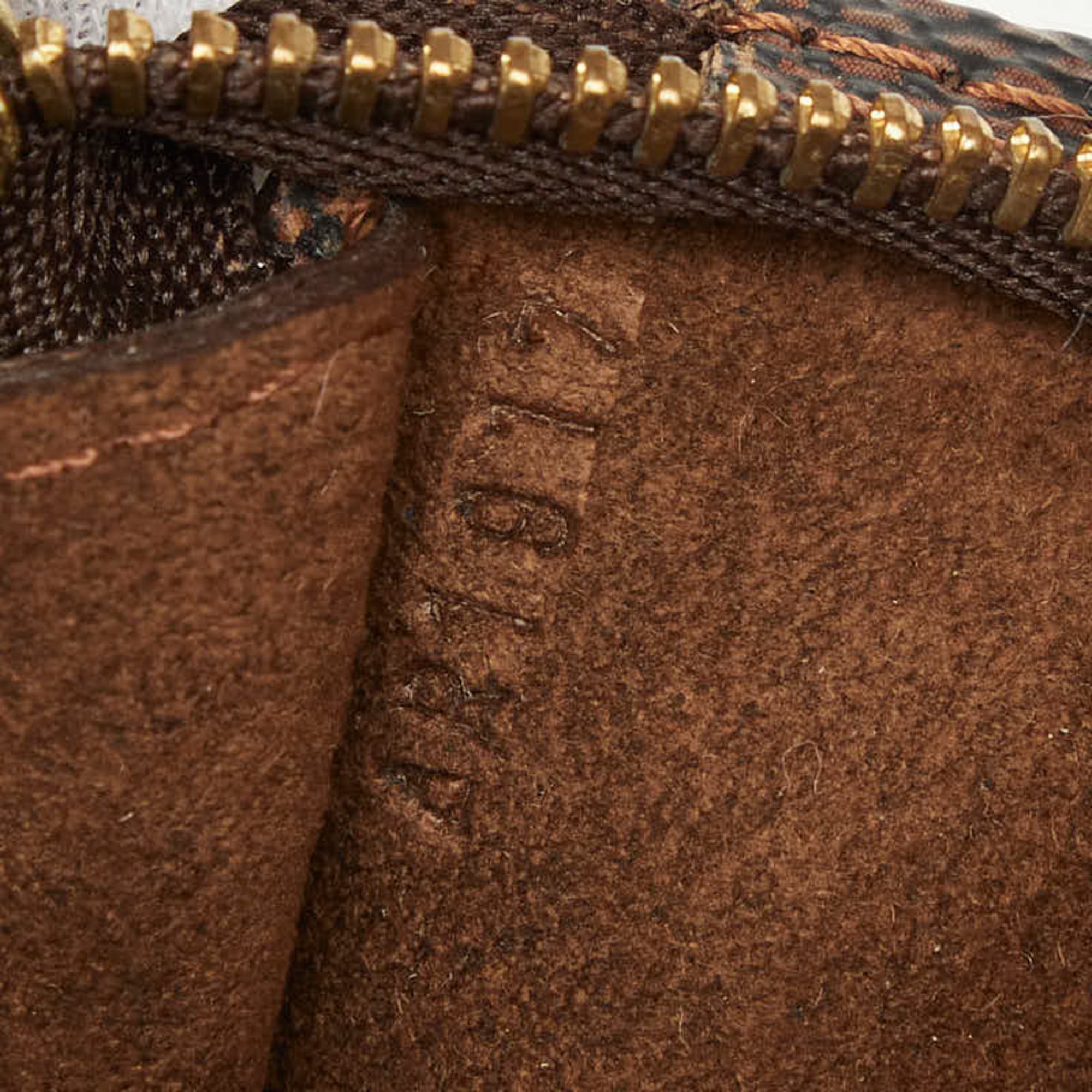 Louis Vuitton Brown Damier Canvas Pvc Handbag Pouch (Pre-Owned)