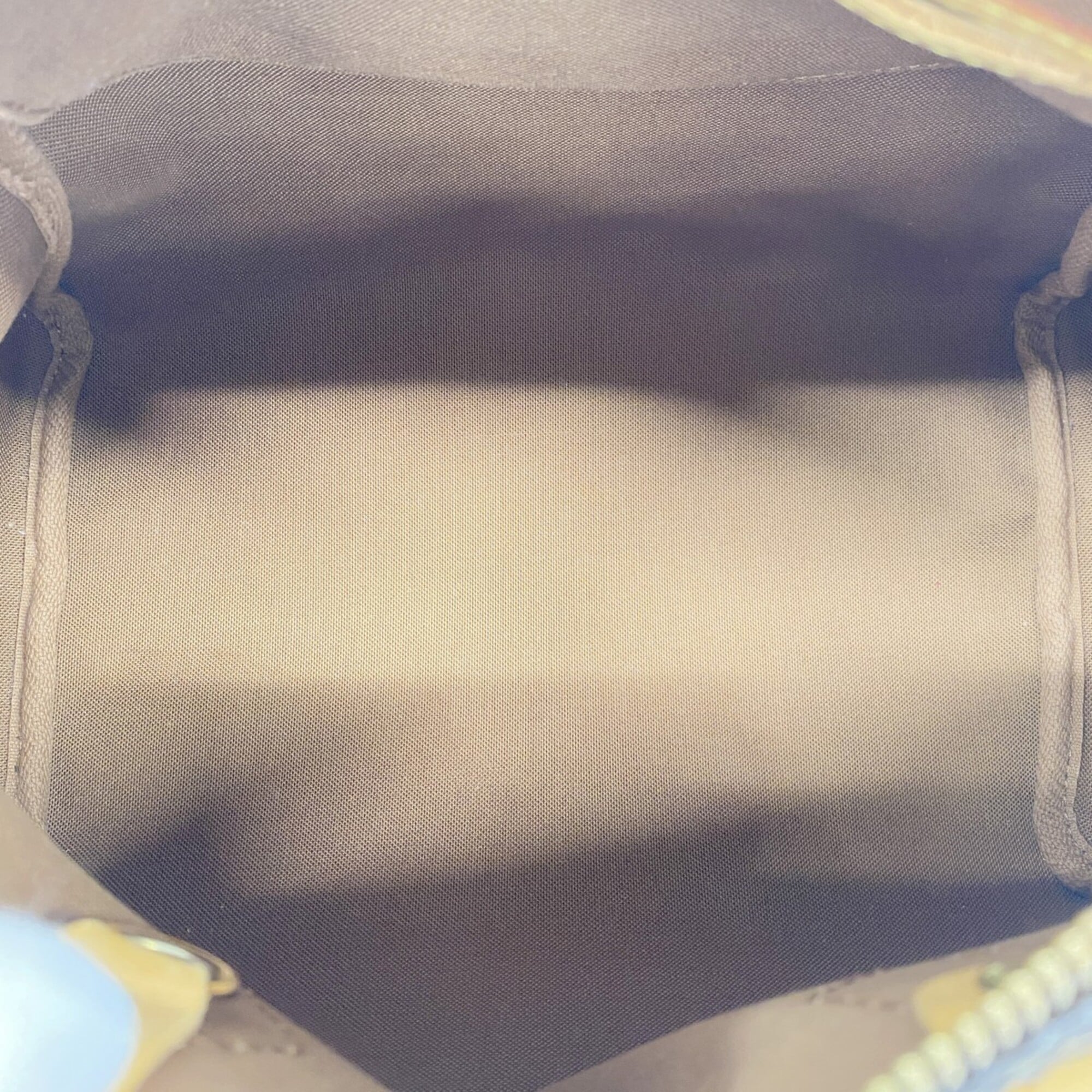 Louis Vuitton Brown Handbag (Pre-Owned)