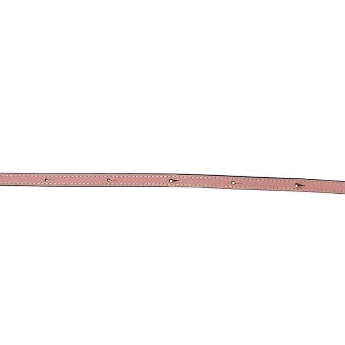 Loewe Pink Leather Pochette Shoulder Bag (Pre-Owned)