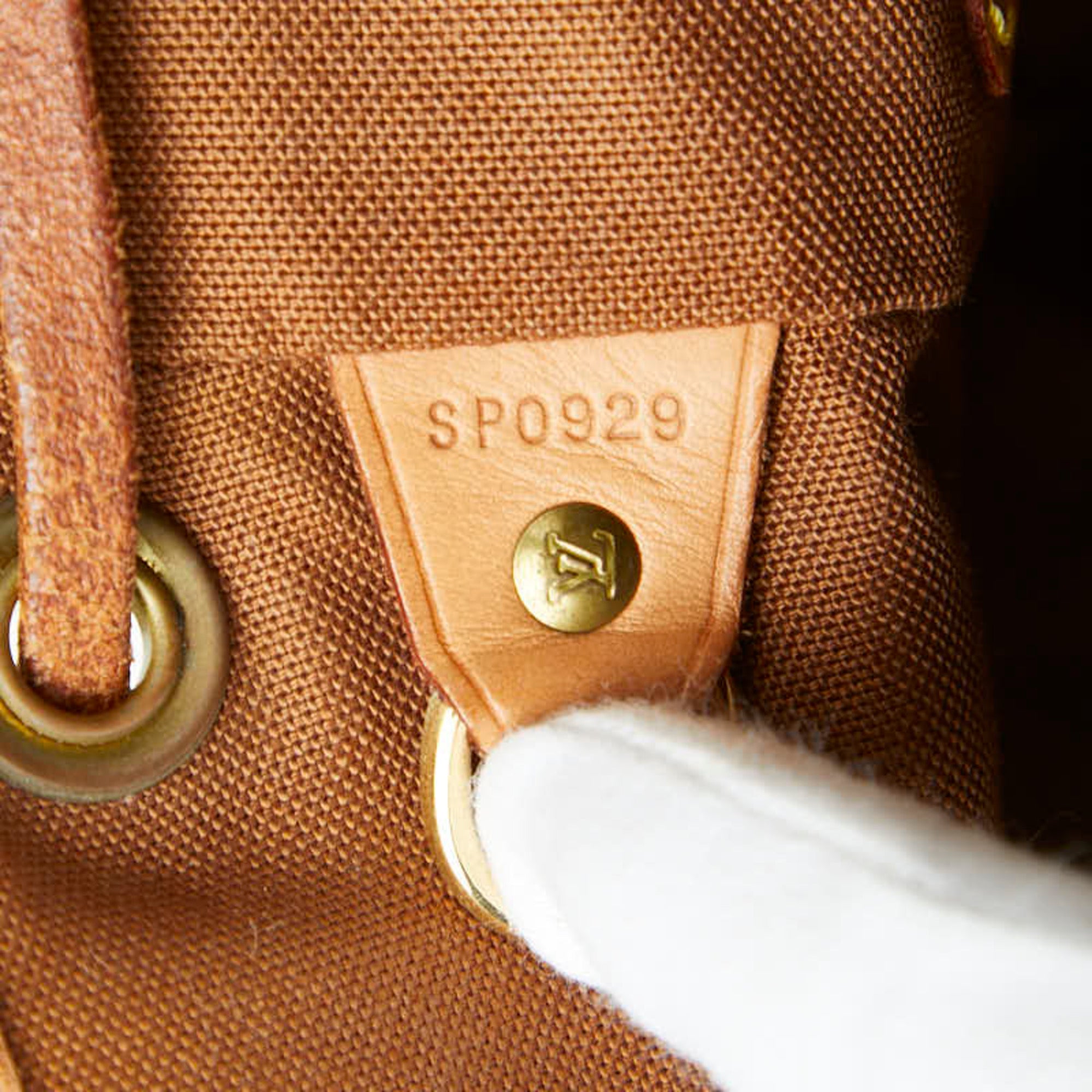 Louis Vuitton Brown Monogram Pvc (Pre-Owned)