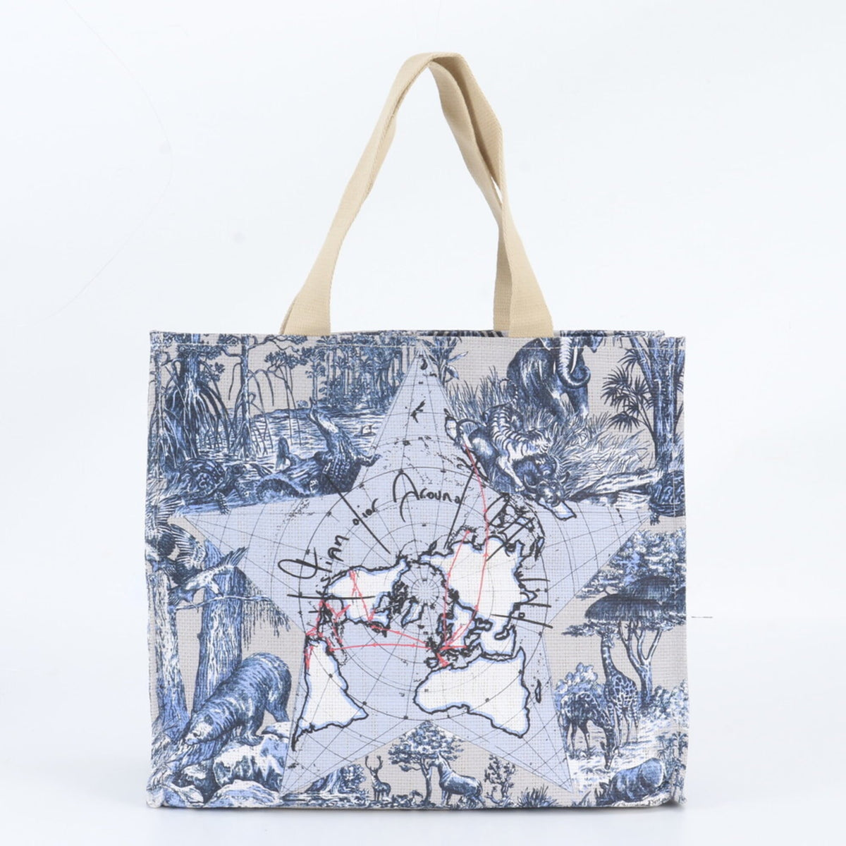 Christian Dior Blue Tote Bag (Pre-Owned)