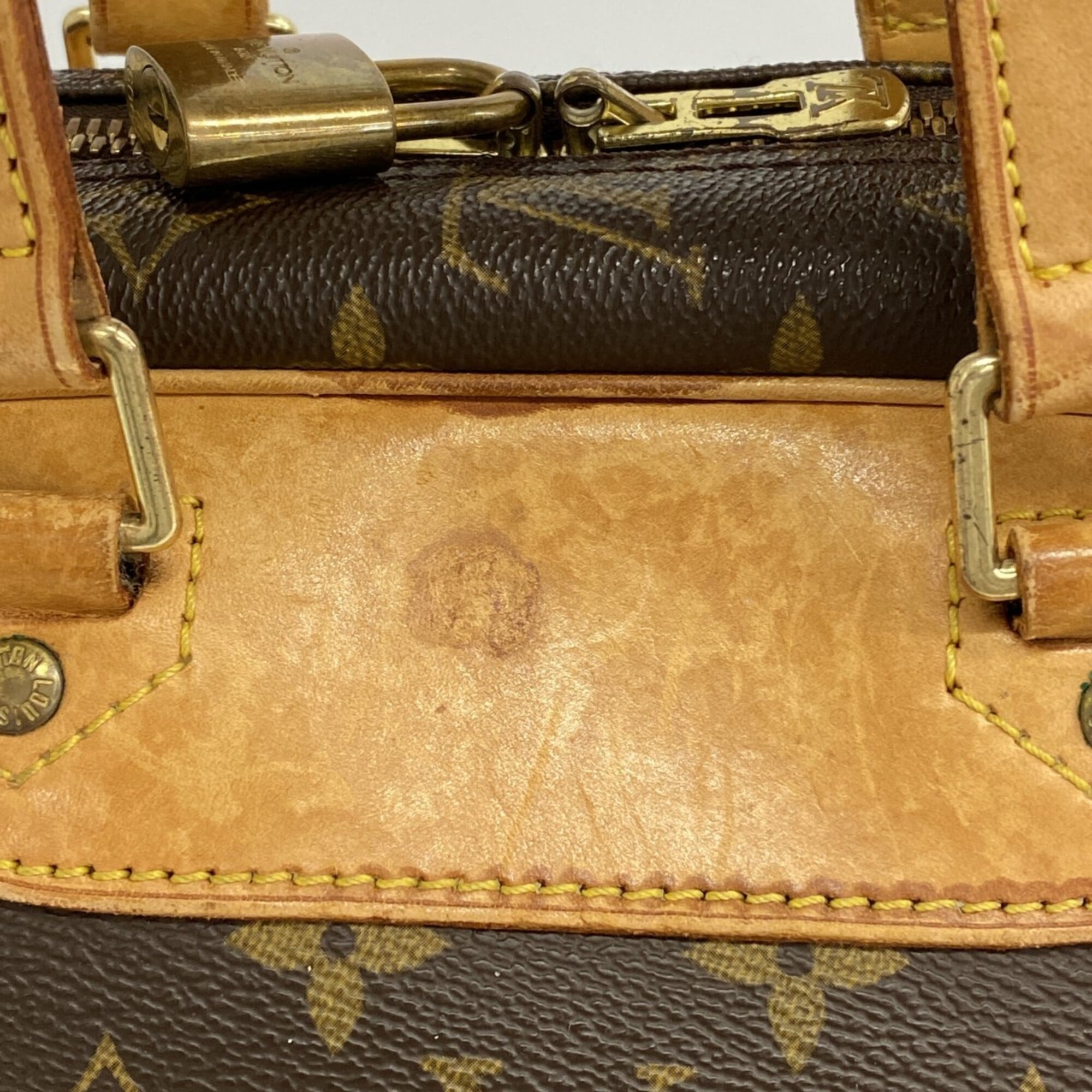 Louis Vuitton Brown Handbag (Pre-Owned)