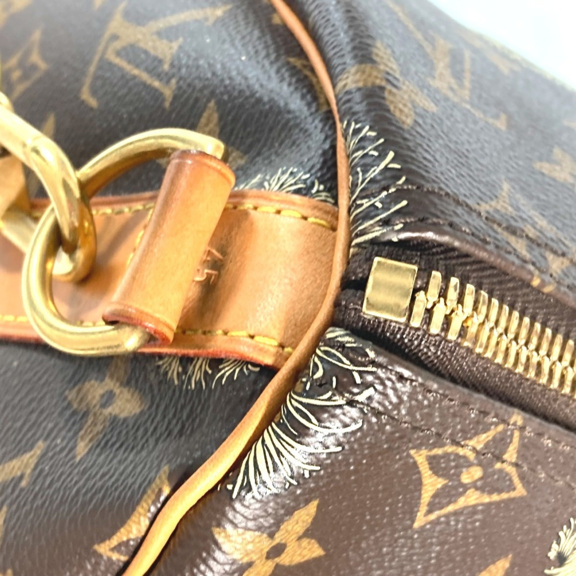 Louis Vuitton Brown Monogram Canvas Boston Bag Shoulder Bag (Pre-Owned)