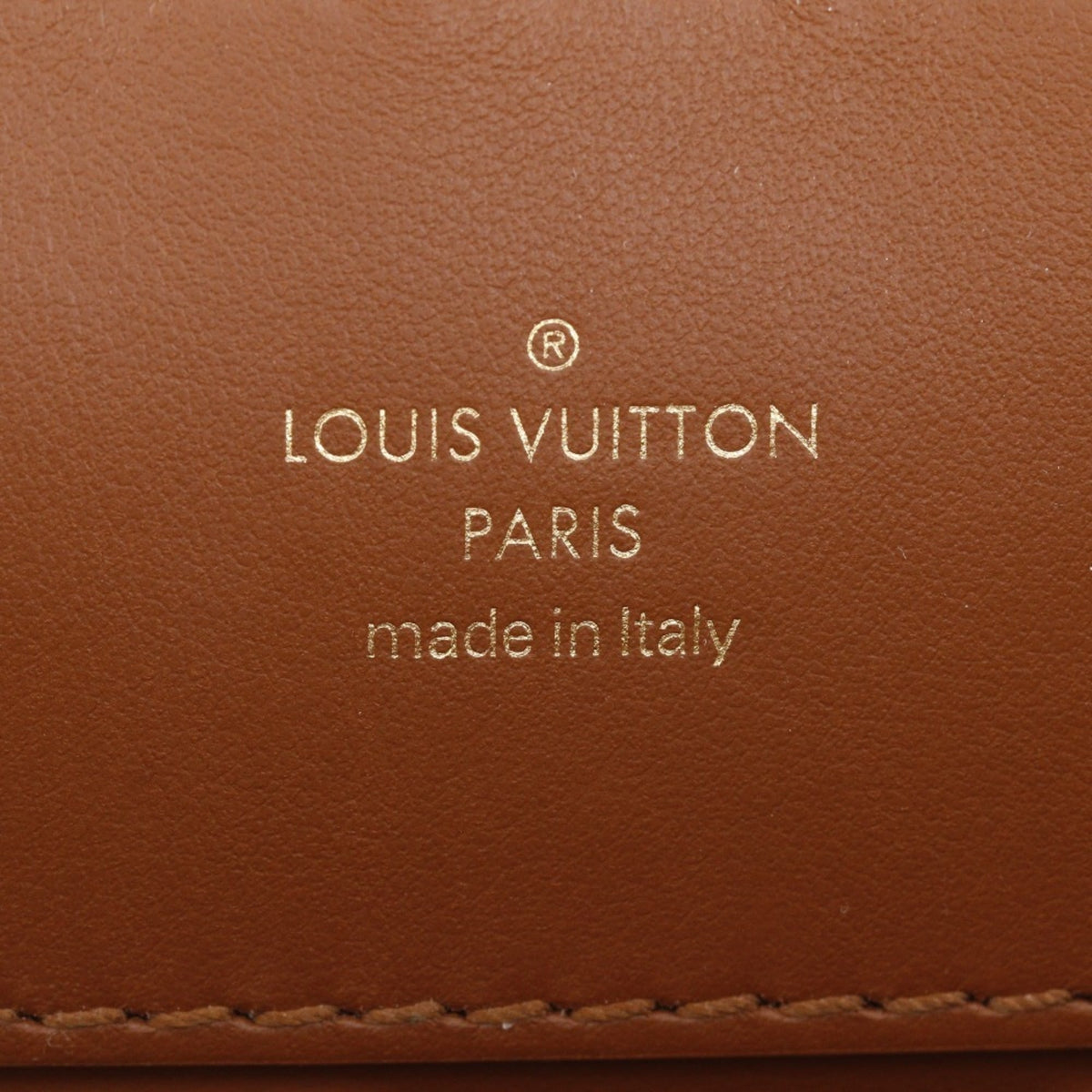 Louis Vuitton Brown Leather Handbag (Pre-Owned)
