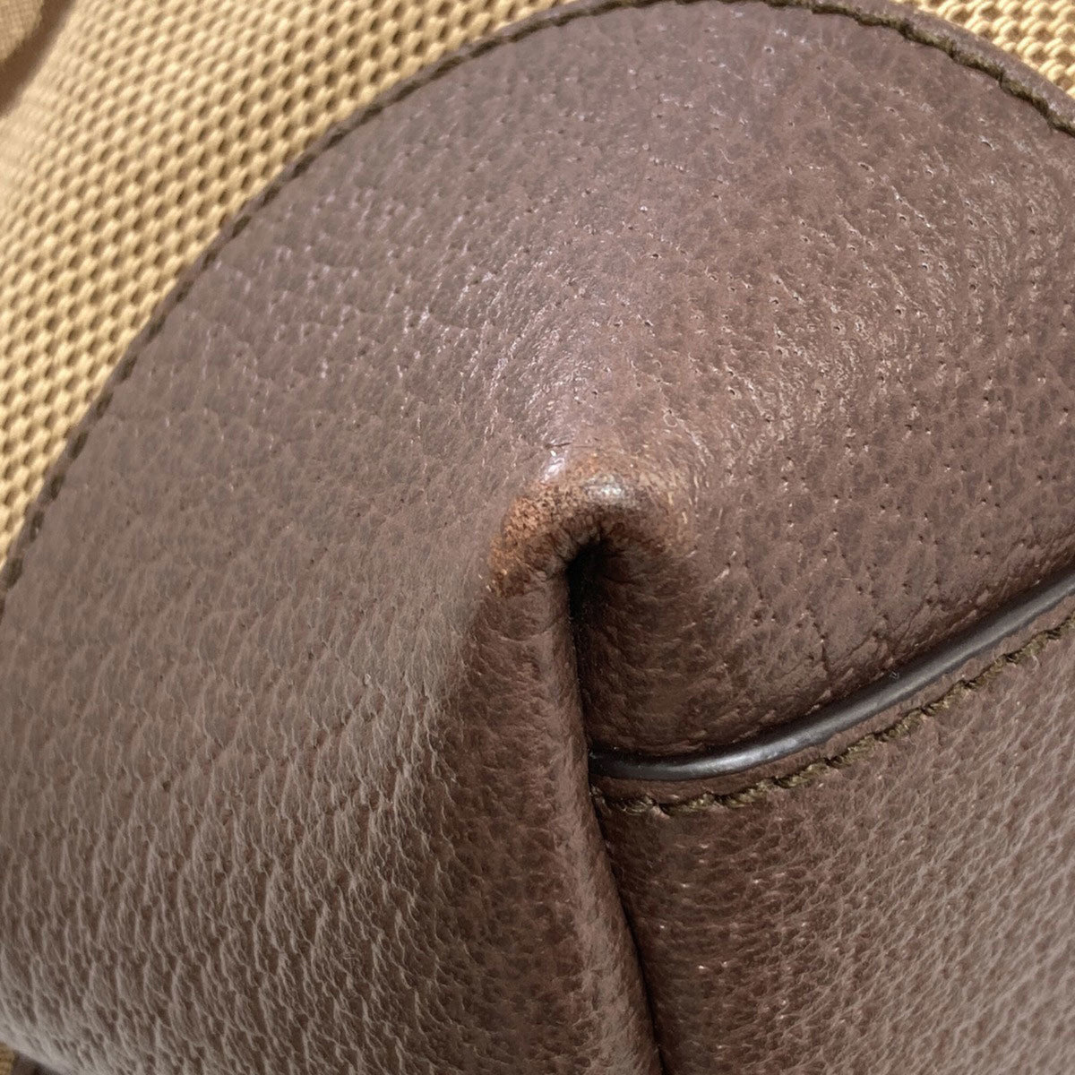 Gucci Beige Brown Canvas Tote Bag (Pre-Owned)
