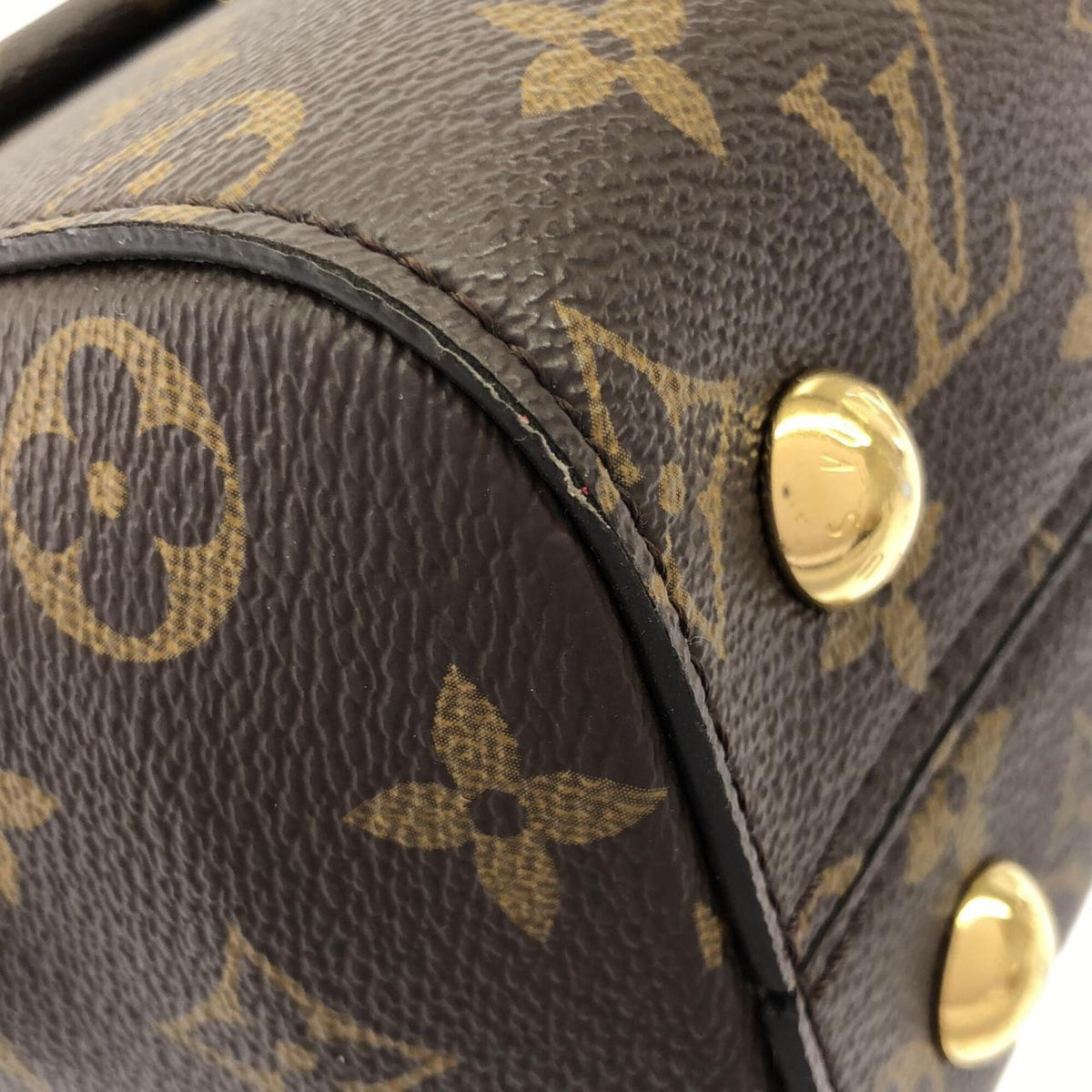 Louis Vuitton Monogram Fuchsia Marron Monogram Monogram Handbag (Pre-Owned)