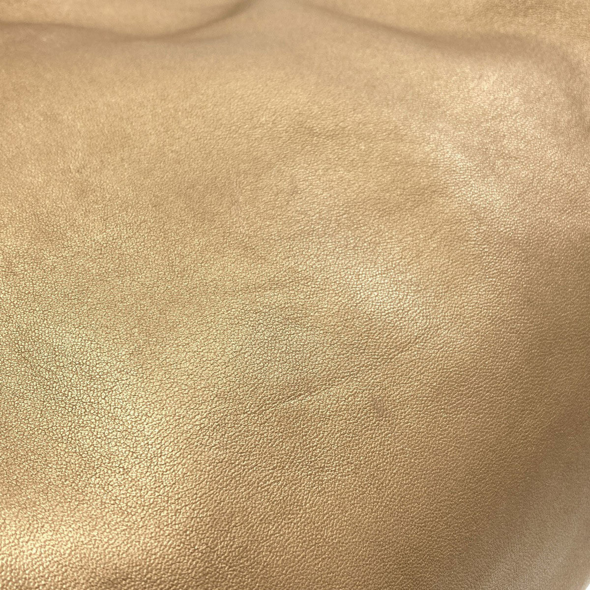 Loewe Gold Leather Handbag (Pre-Owned)
