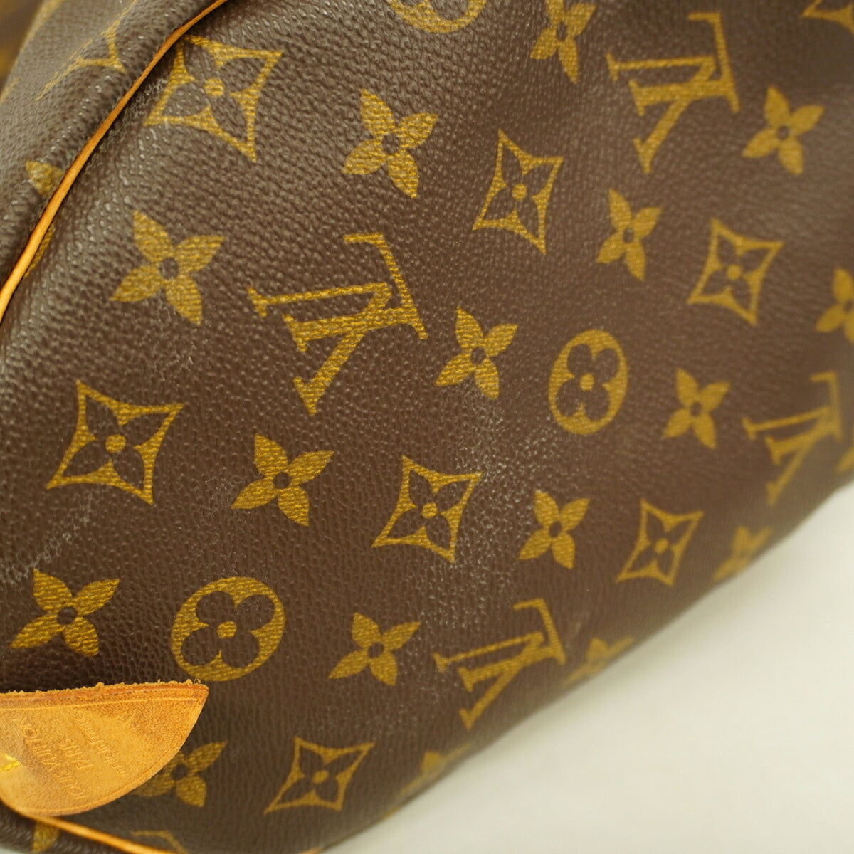 Louis Vuitton Brown Handbag (Pre-Owned)