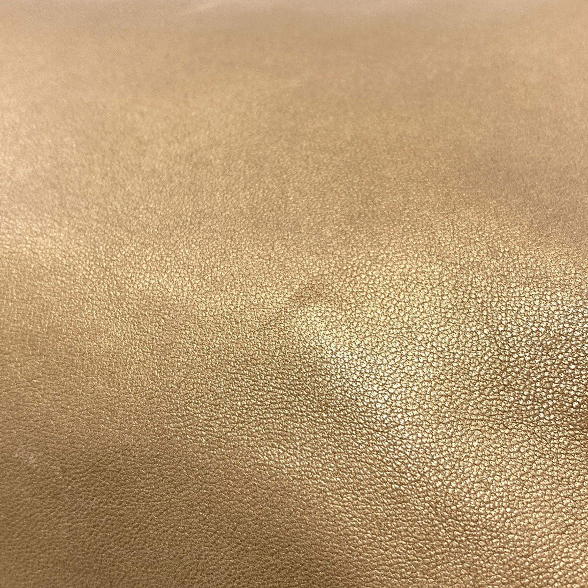 Loewe Gold Leather Handbag (Pre-Owned)