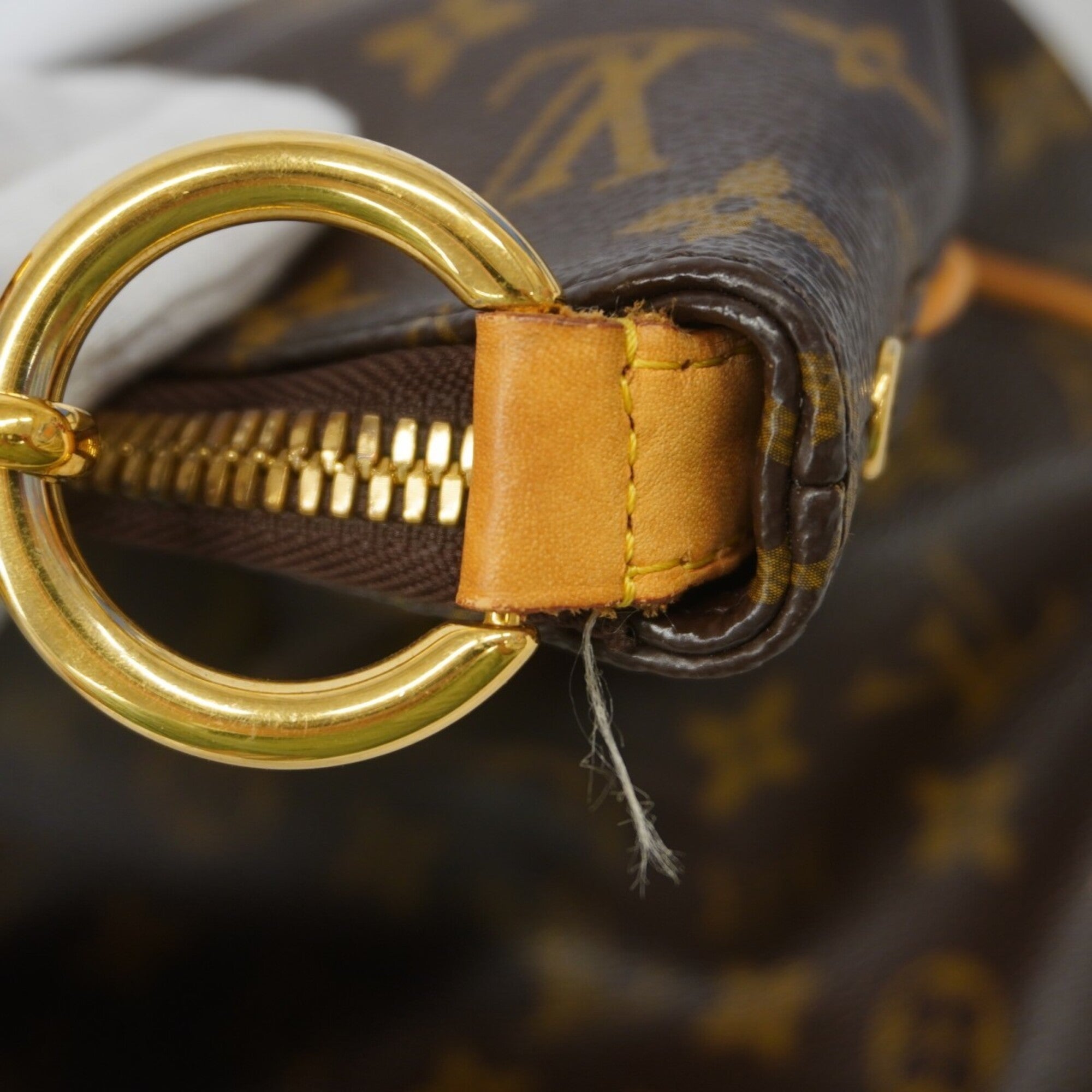 Louis Vuitton Brown Handbag (Pre-Owned)