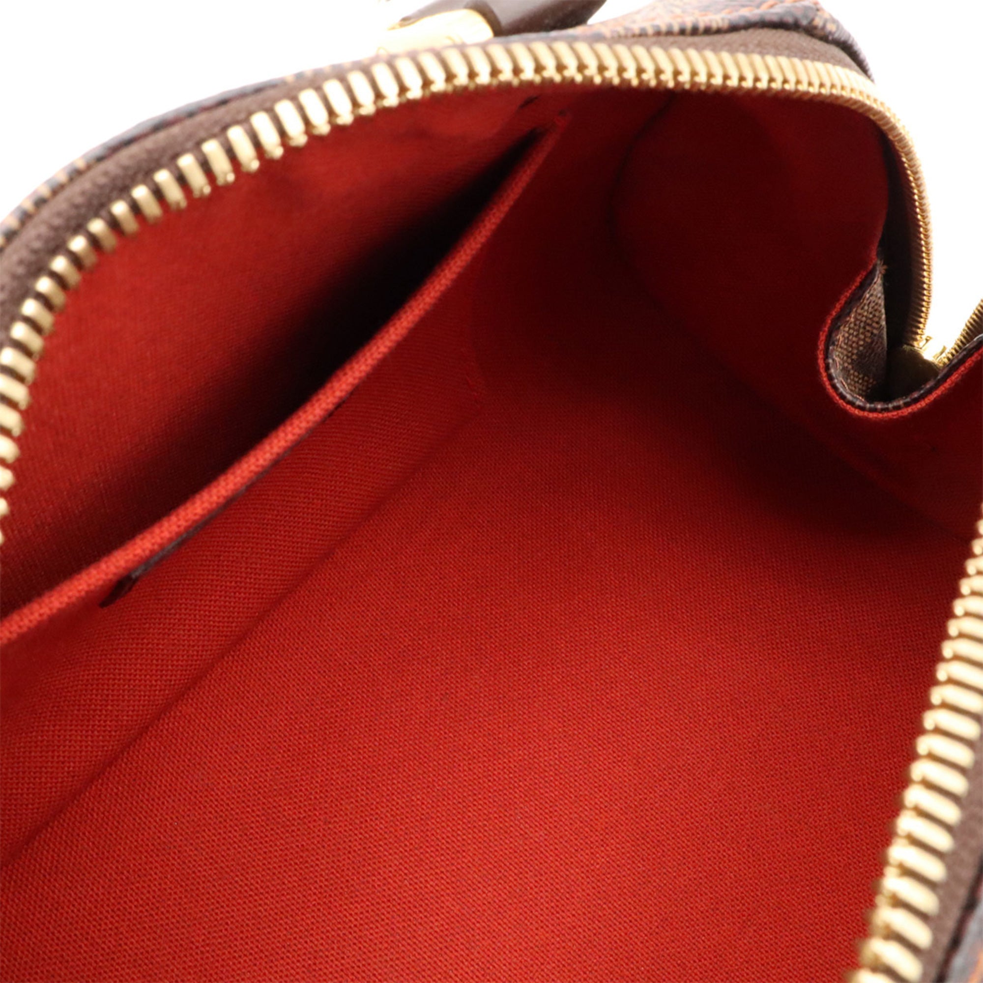 Louis Vuitton Brown Damier Canvas Pvc Handbag (Pre-Owned)