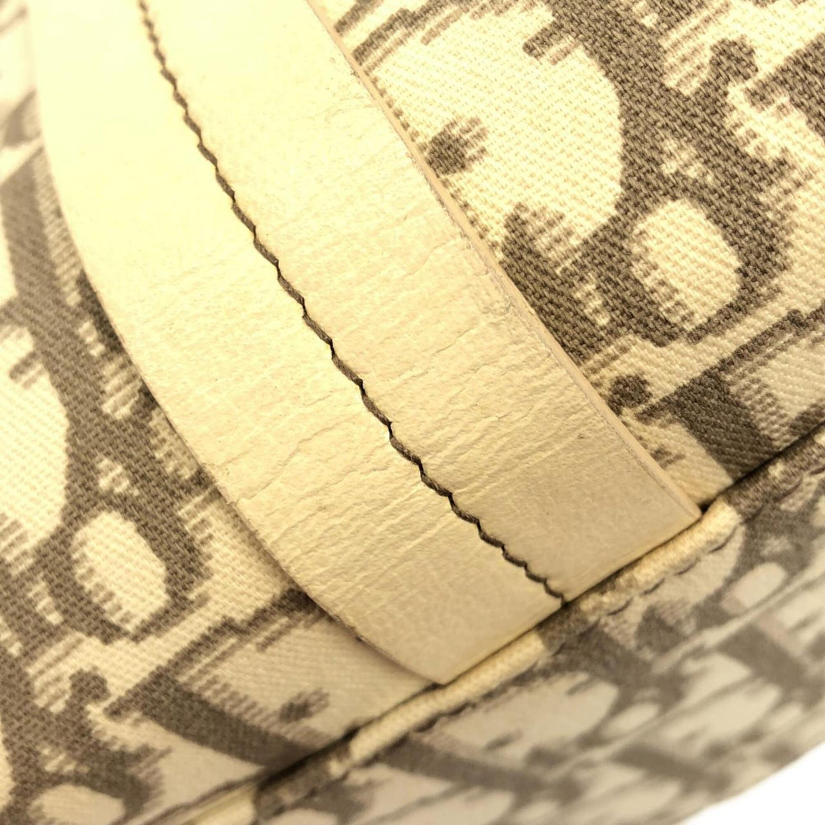 Christian Dior Ivory Multi-Color Canvas Handbag (Pre-Owned)