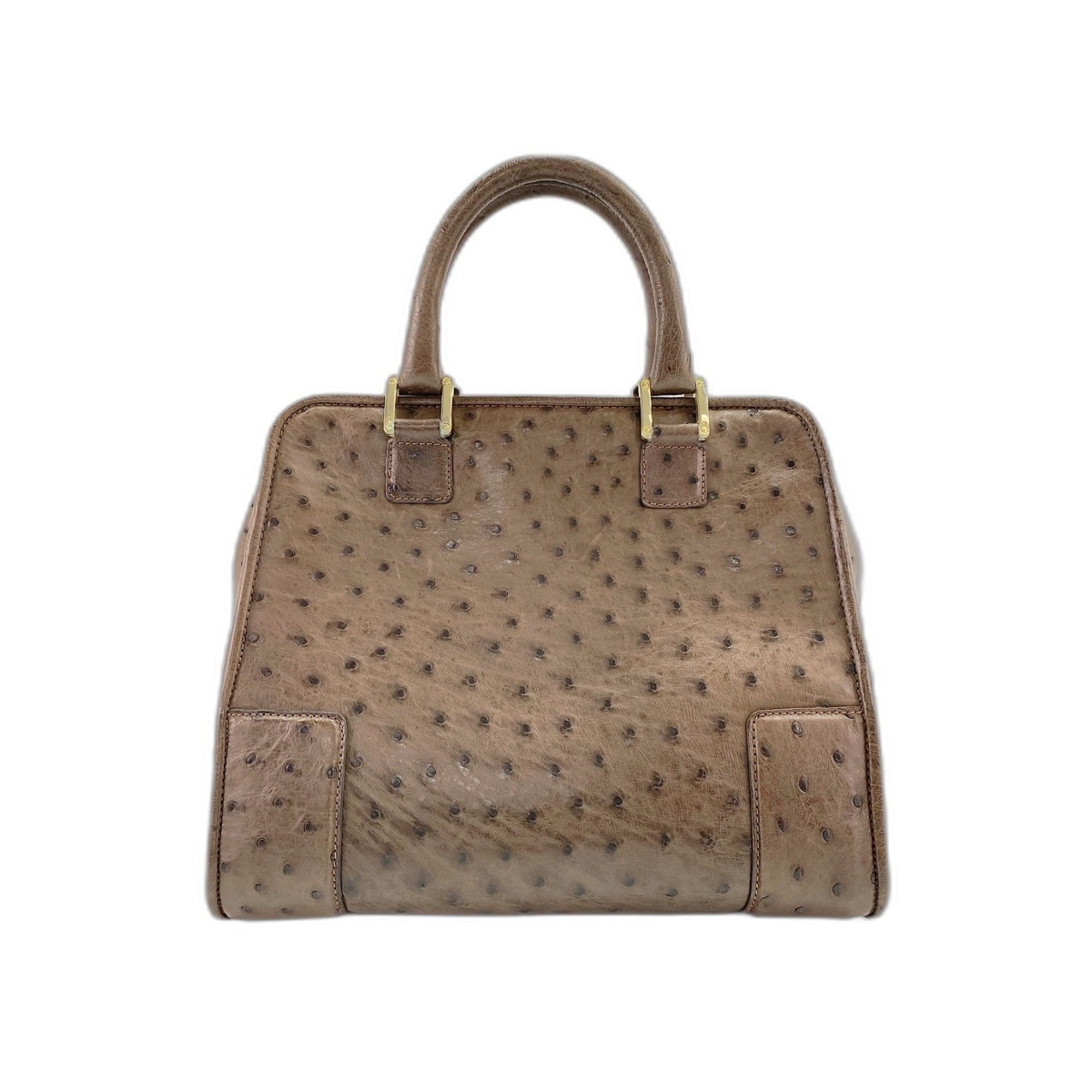 Loewe Amazona Brown Handbag (Pre-Owned)