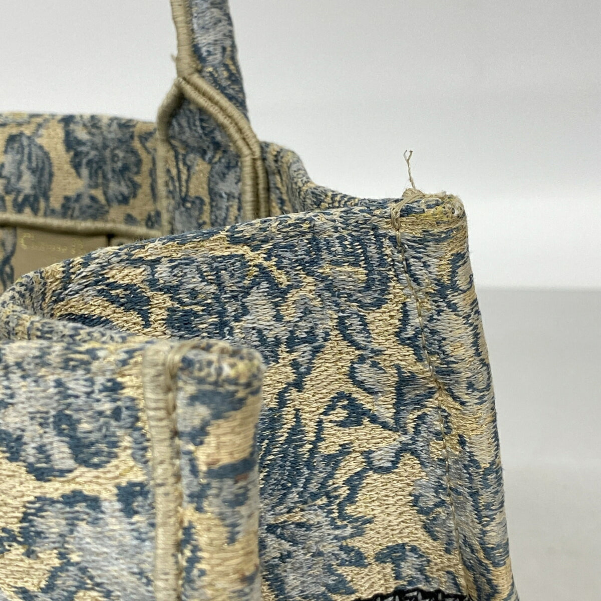 Christian Dior Light Blue Canvas Tote Bag (Pre-Owned)