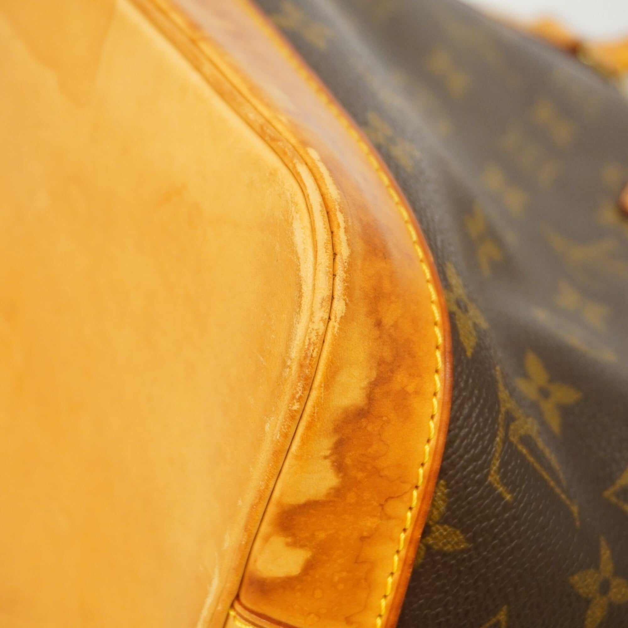 Louis Vuitton Brown Handbag (Pre-Owned)