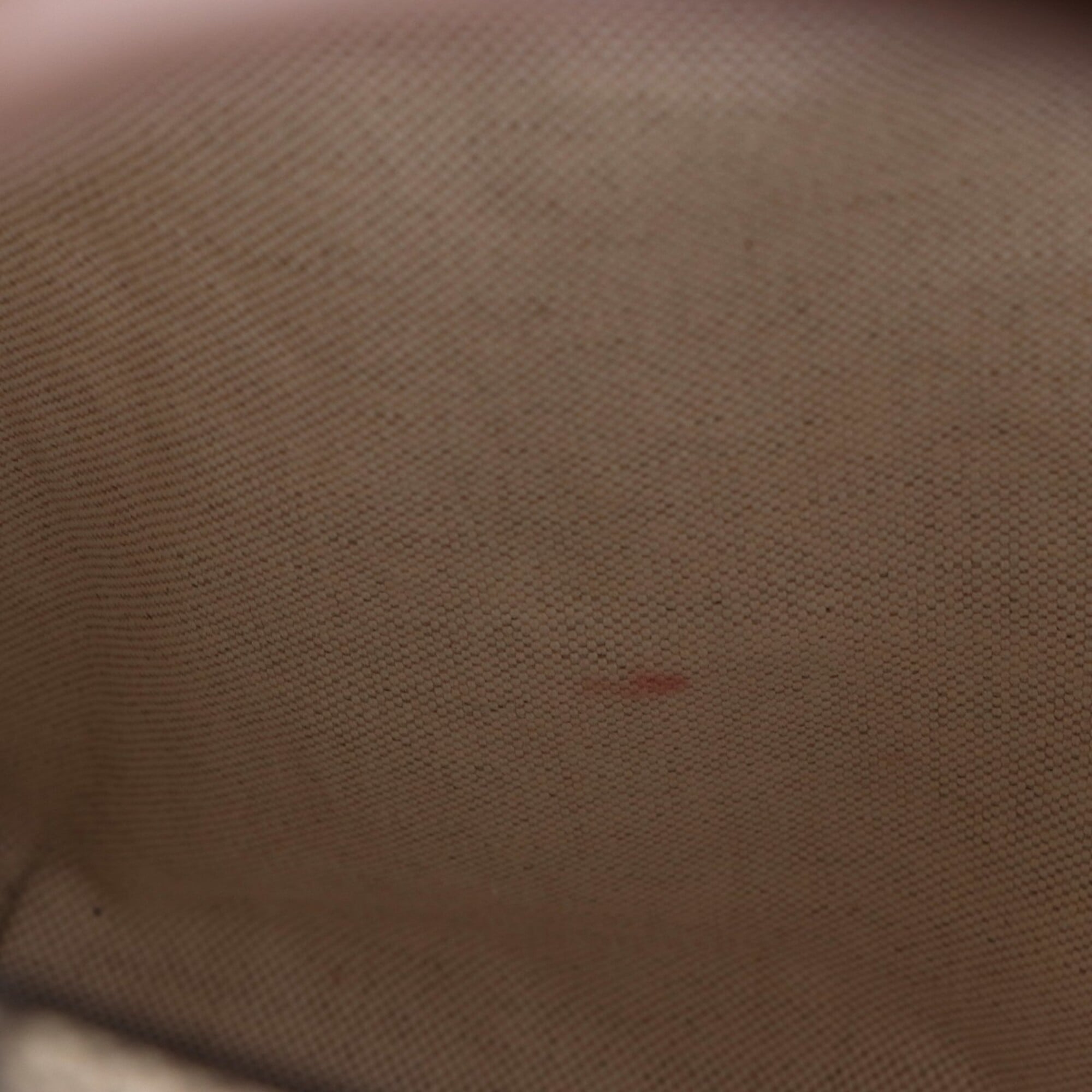 Gucci Beige Brown Pvc Tote Bag (Pre-Owned)