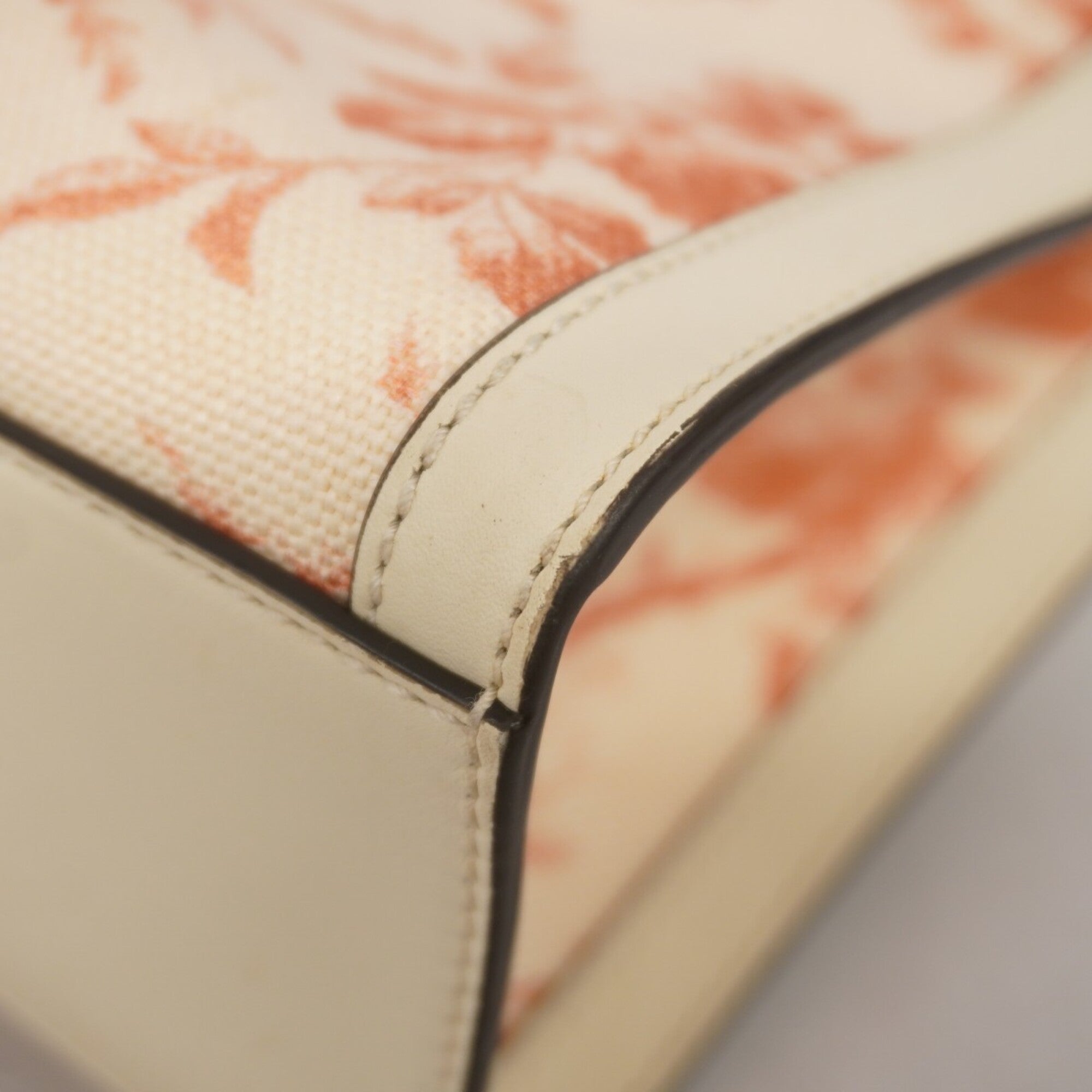 Gucci Ivory Red Color Canvas Handbag (Pre-Owned)