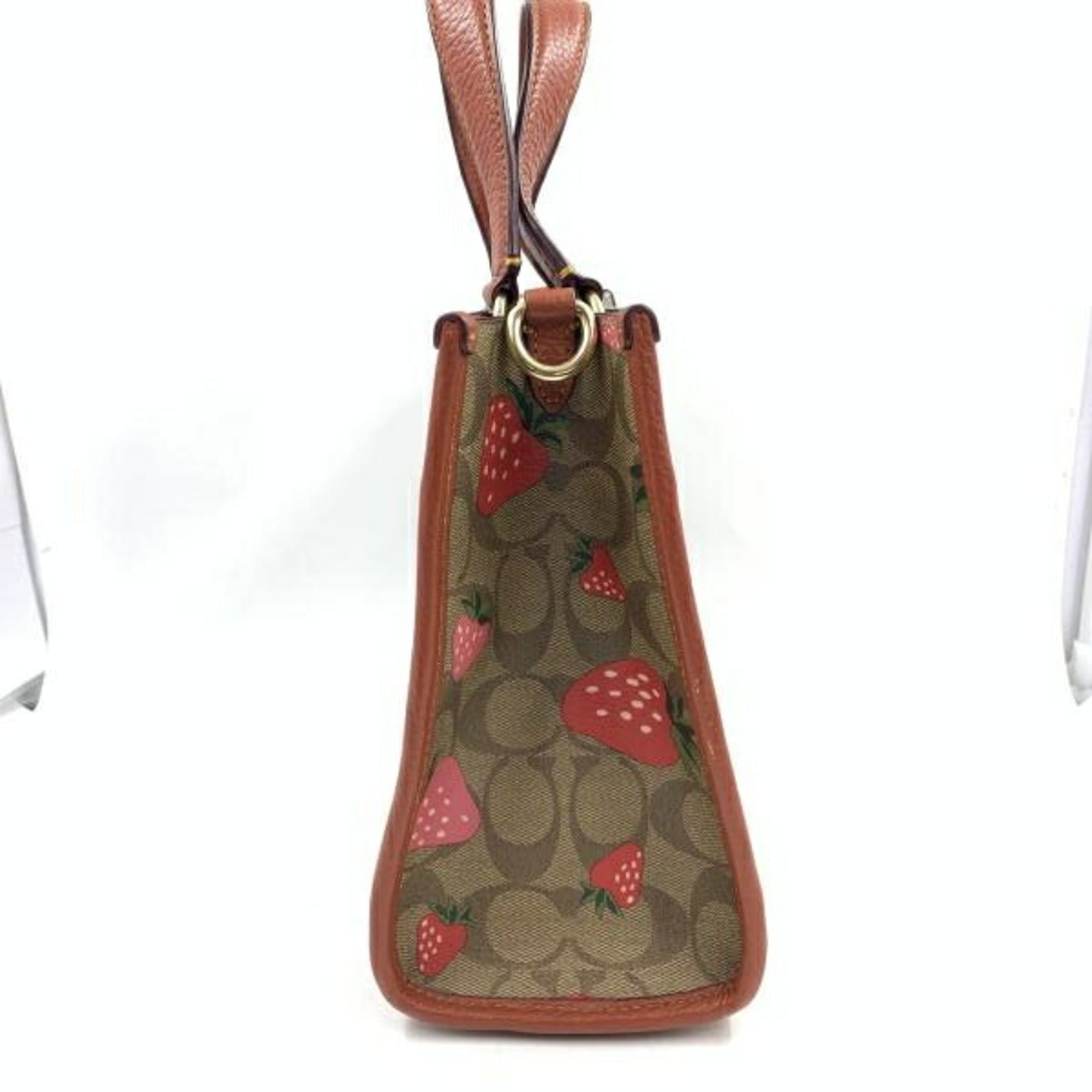 Coach Signature Tote Bag (Pre-Owned)