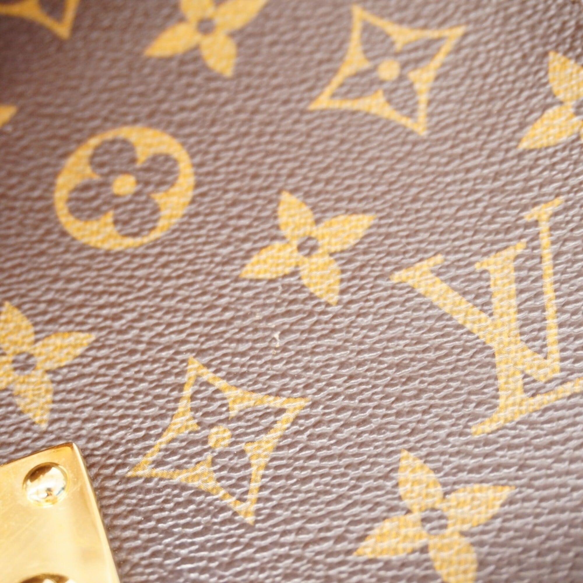 Louis Vuitton Brown Handbag (Pre-Owned)