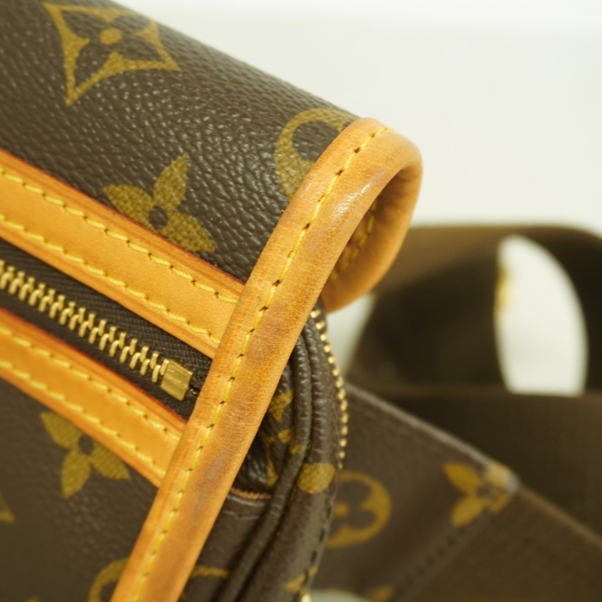 Louis Vuitton Brown Fanny Pack (Pre-Owned)