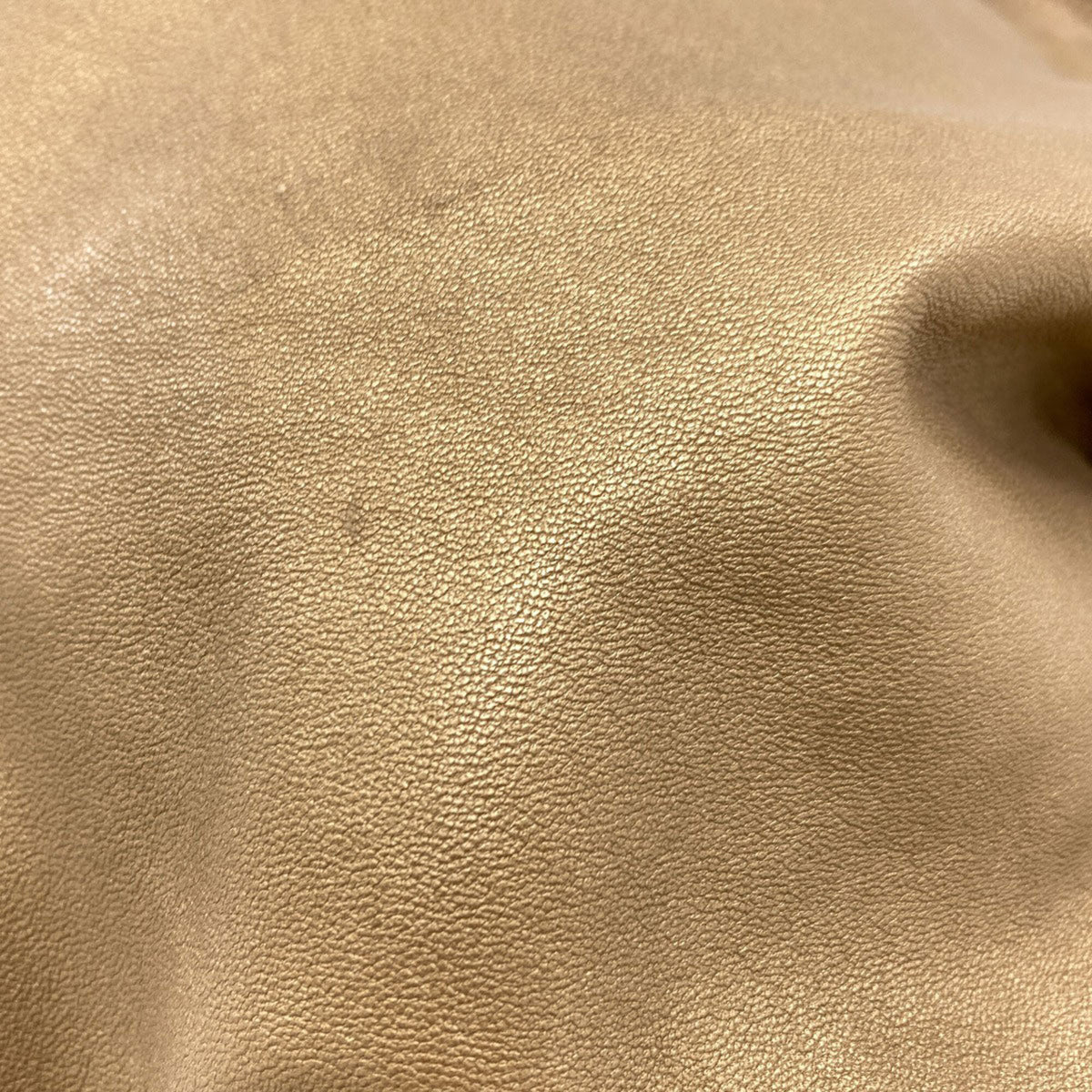 Loewe Gold Leather Handbag (Pre-Owned)