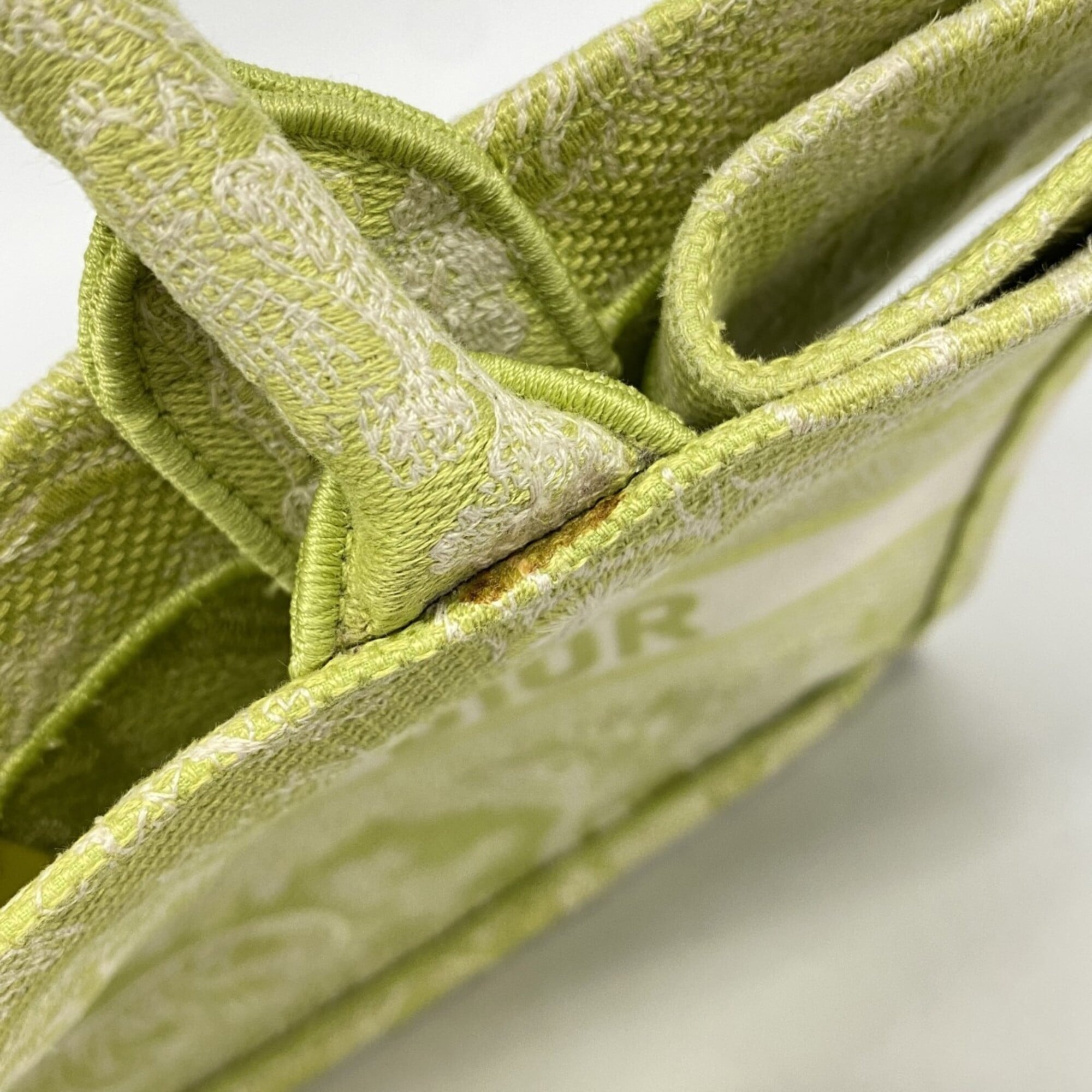 Christian Dior Light Green Canvas Tote Bag (Pre-Owned)