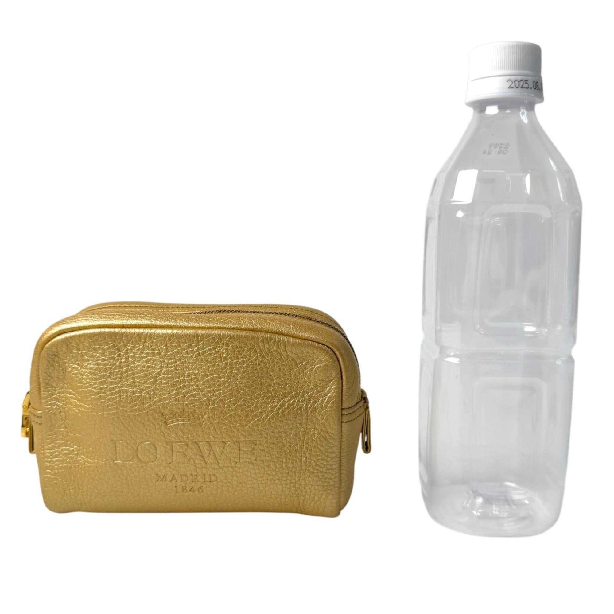 Loewe Gold Pouch (Pre-Owned)