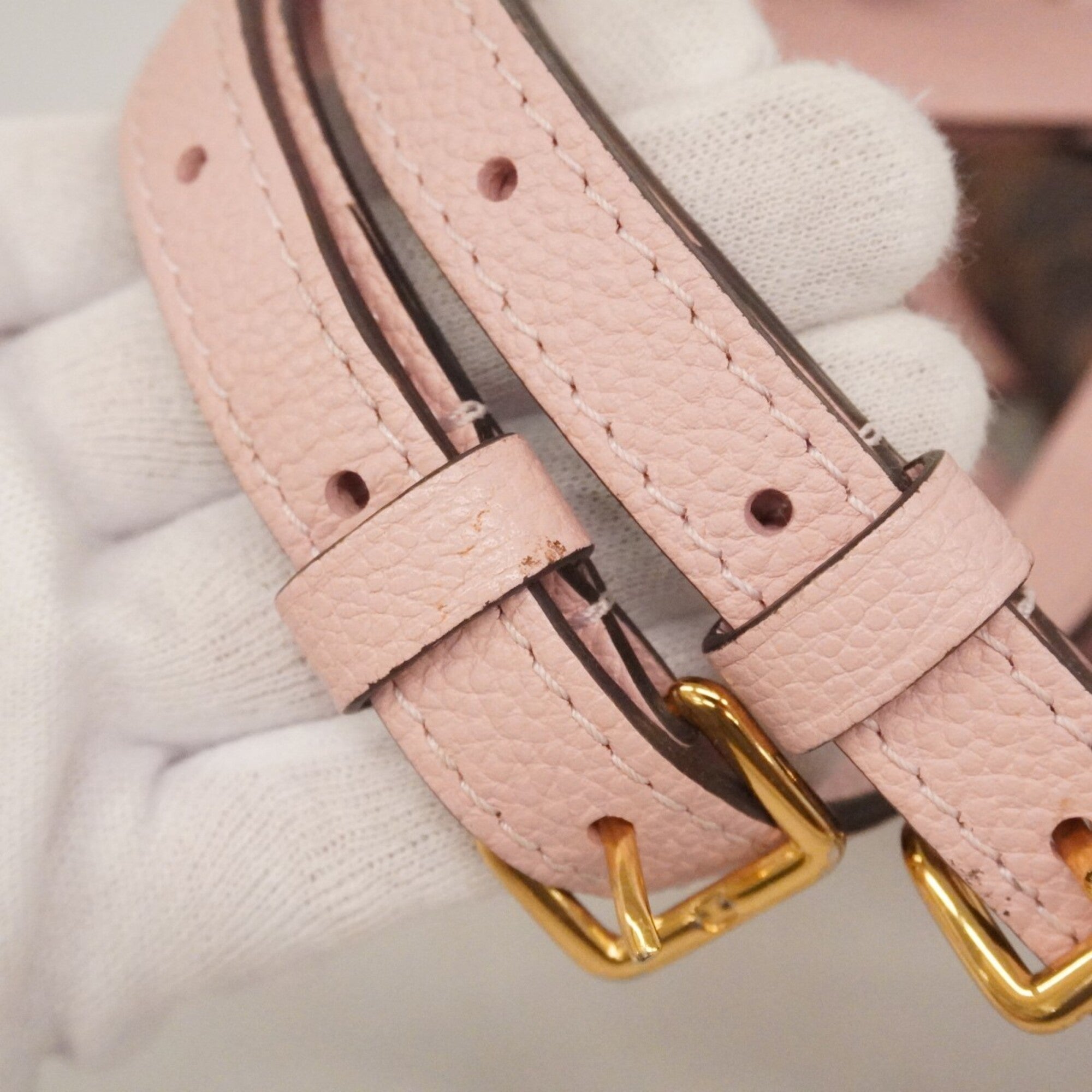 Louis Vuitton Ebene Magnolia Backpack (Pre-Owned)