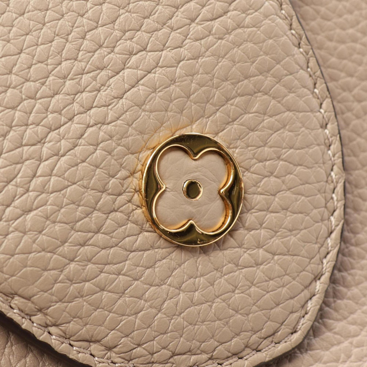 Louis Vuitton Beige Leather Handbag (Pre-Owned)