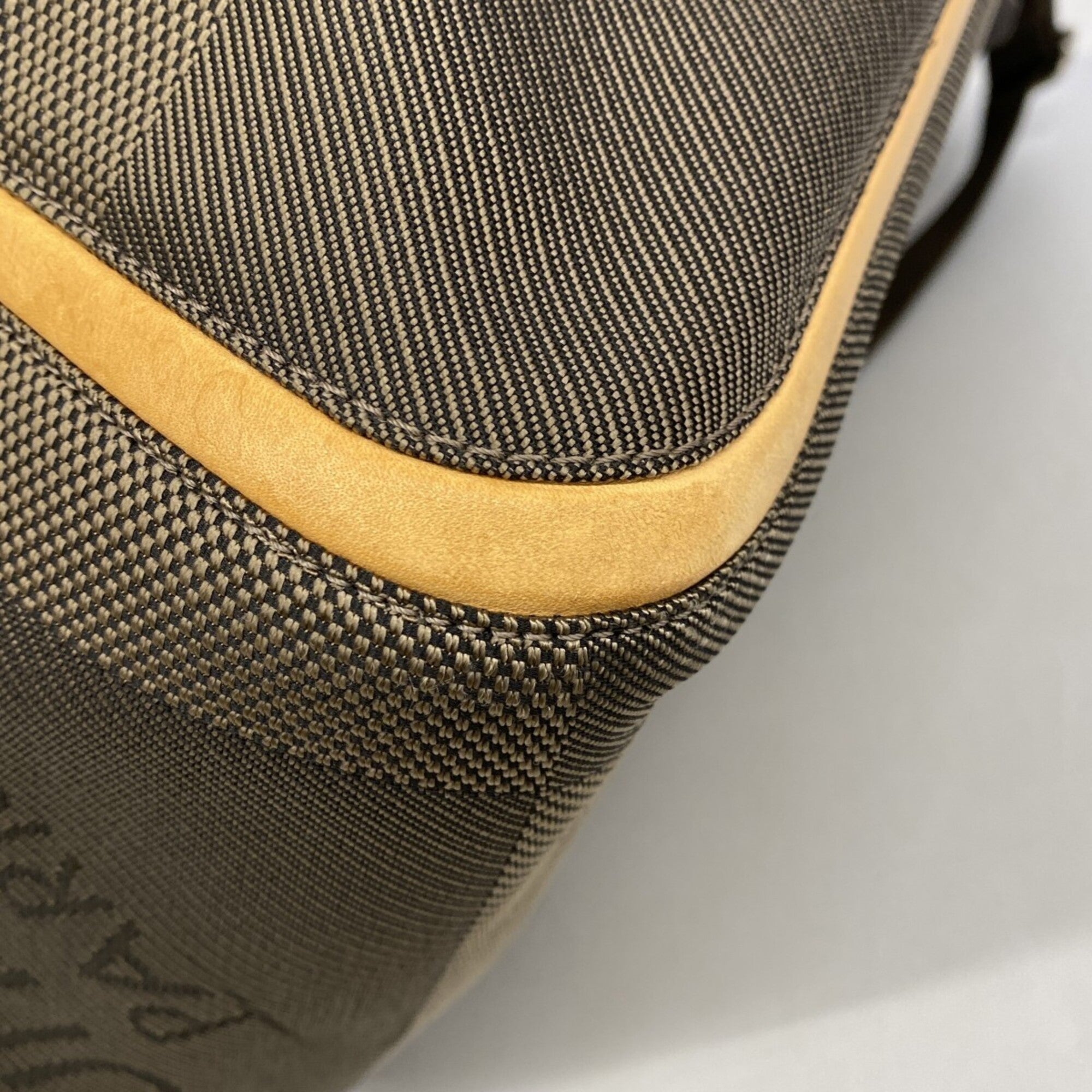 Louis Vuitton Earth Boston Bag (Pre-Owned)