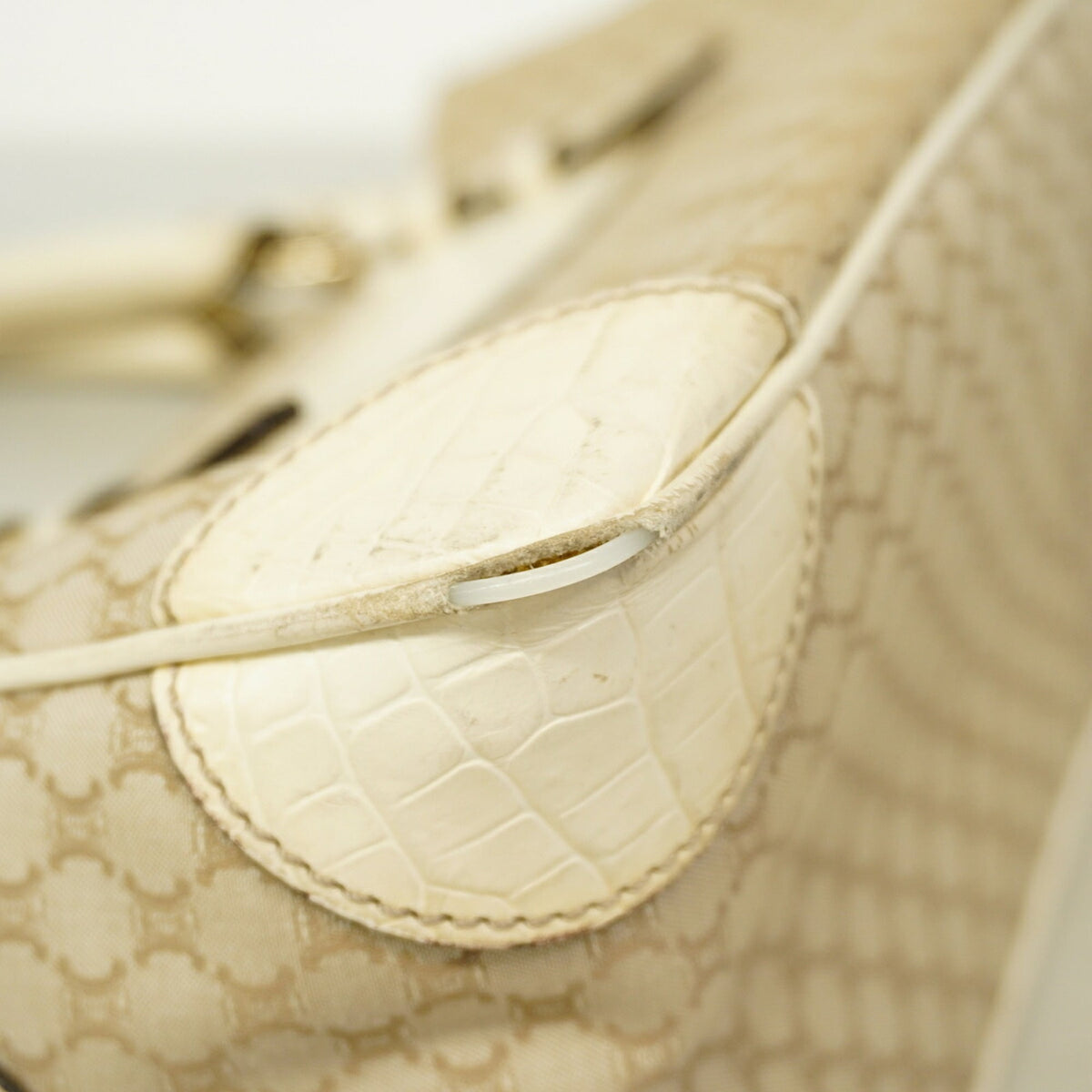 Celine Beige Canvas Leather Handbag (Pre-Owned)