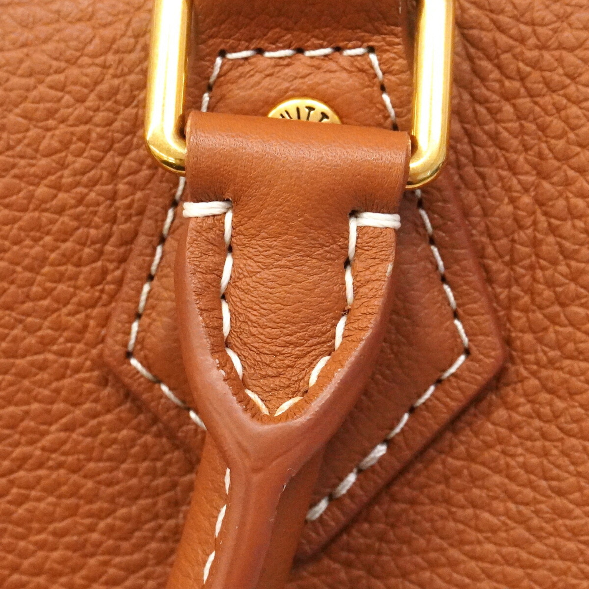 Louis Vuitton Cognac Handbag (Pre-Owned)