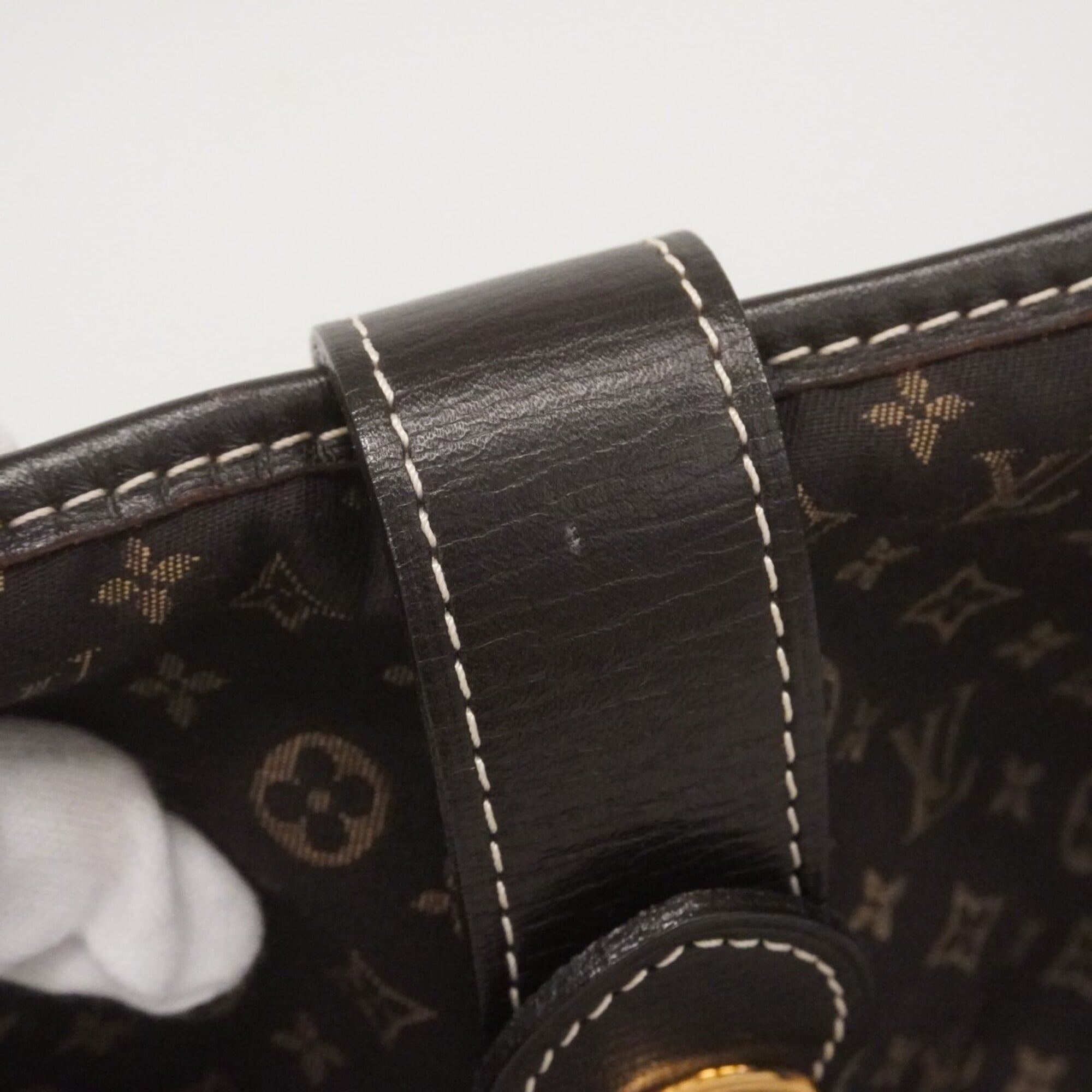 Louis Vuitton Fusain Handbag (Pre-Owned)