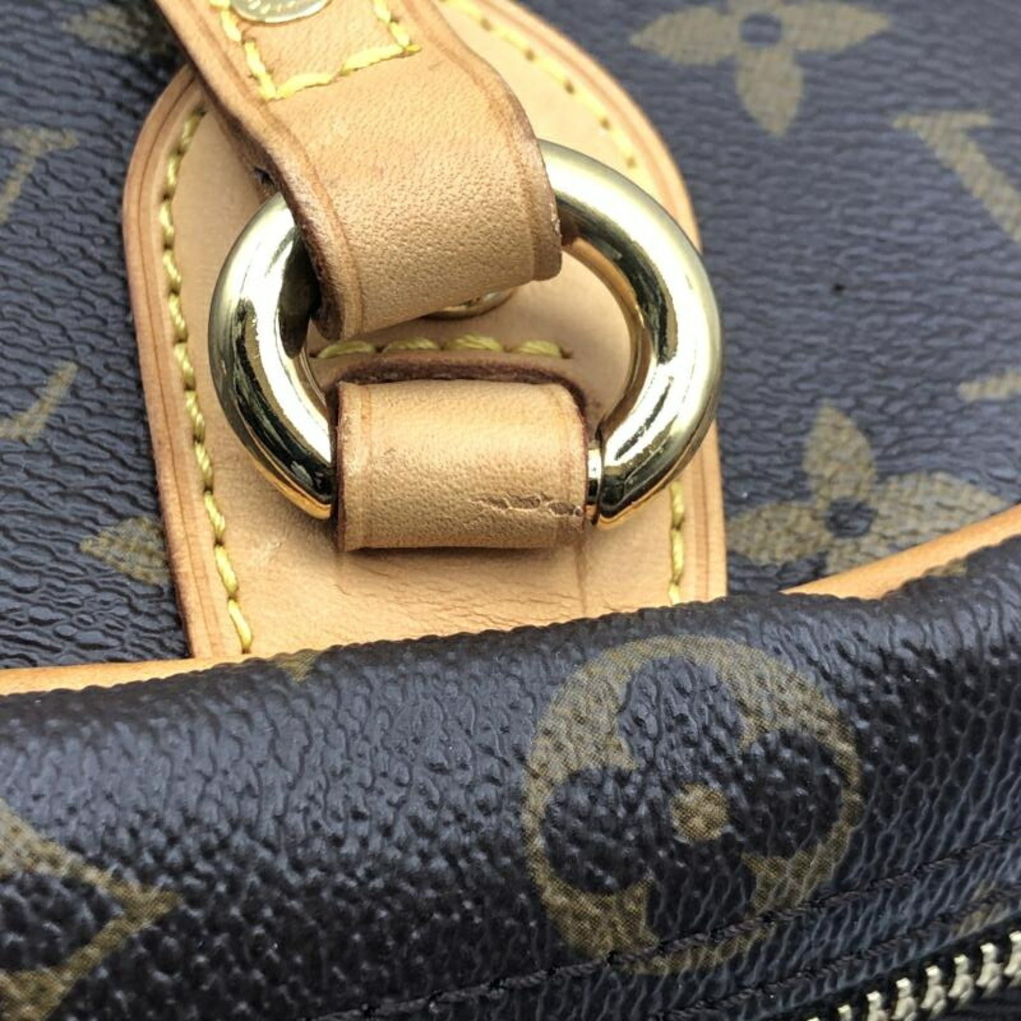 Louis Vuitton Monogram Monogram (Pre-Owned)