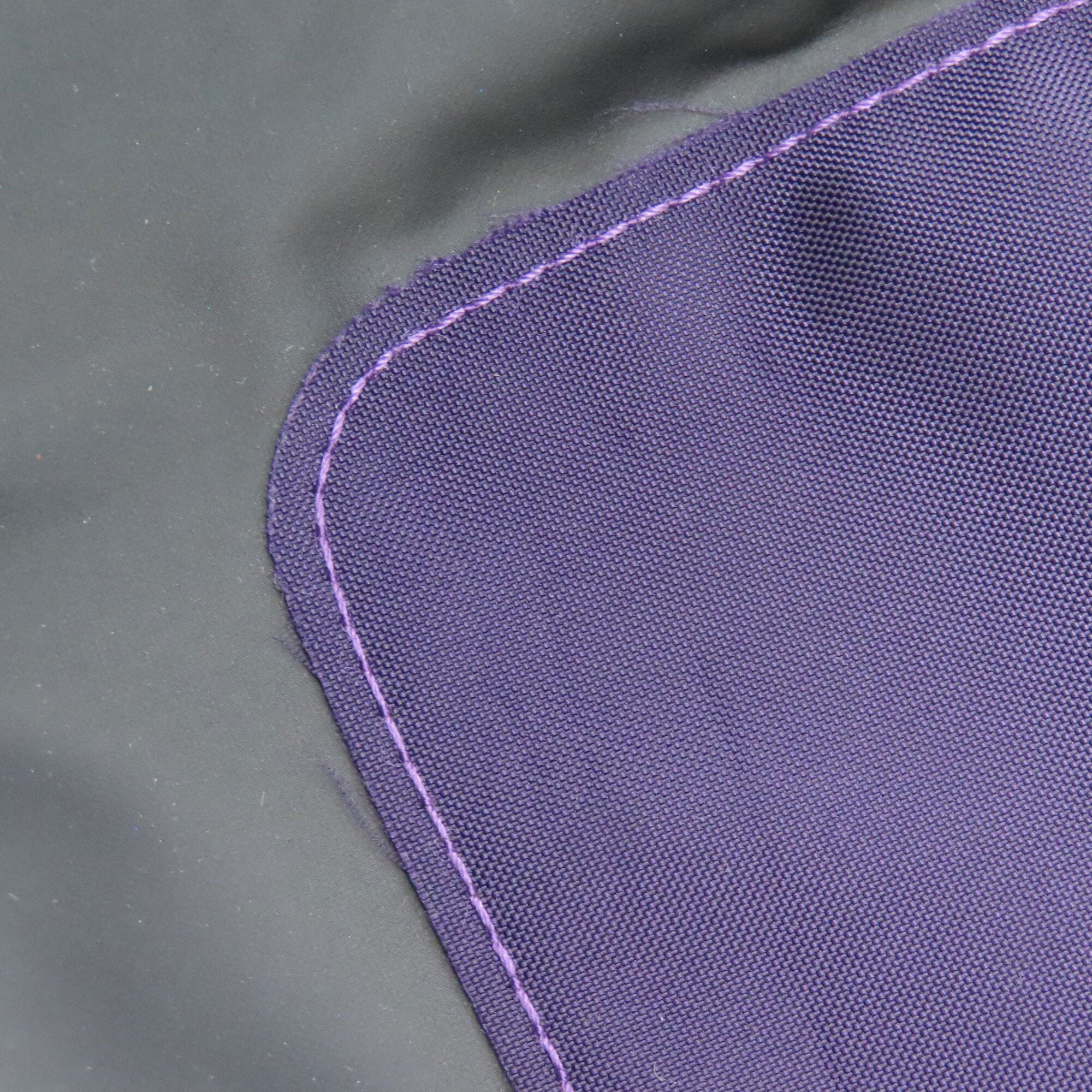 Longchamp Purple Nylon Handbag (Pre-Owned)