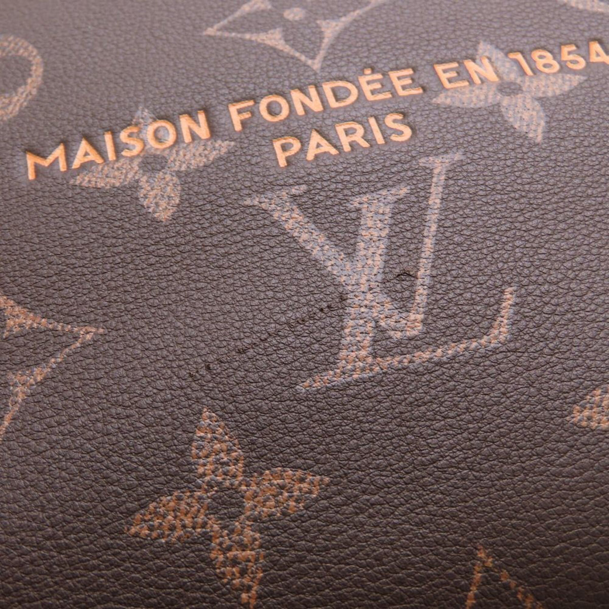 Louis Vuitton Monogram Brown Leather Tote Bag (Pre-Owned)