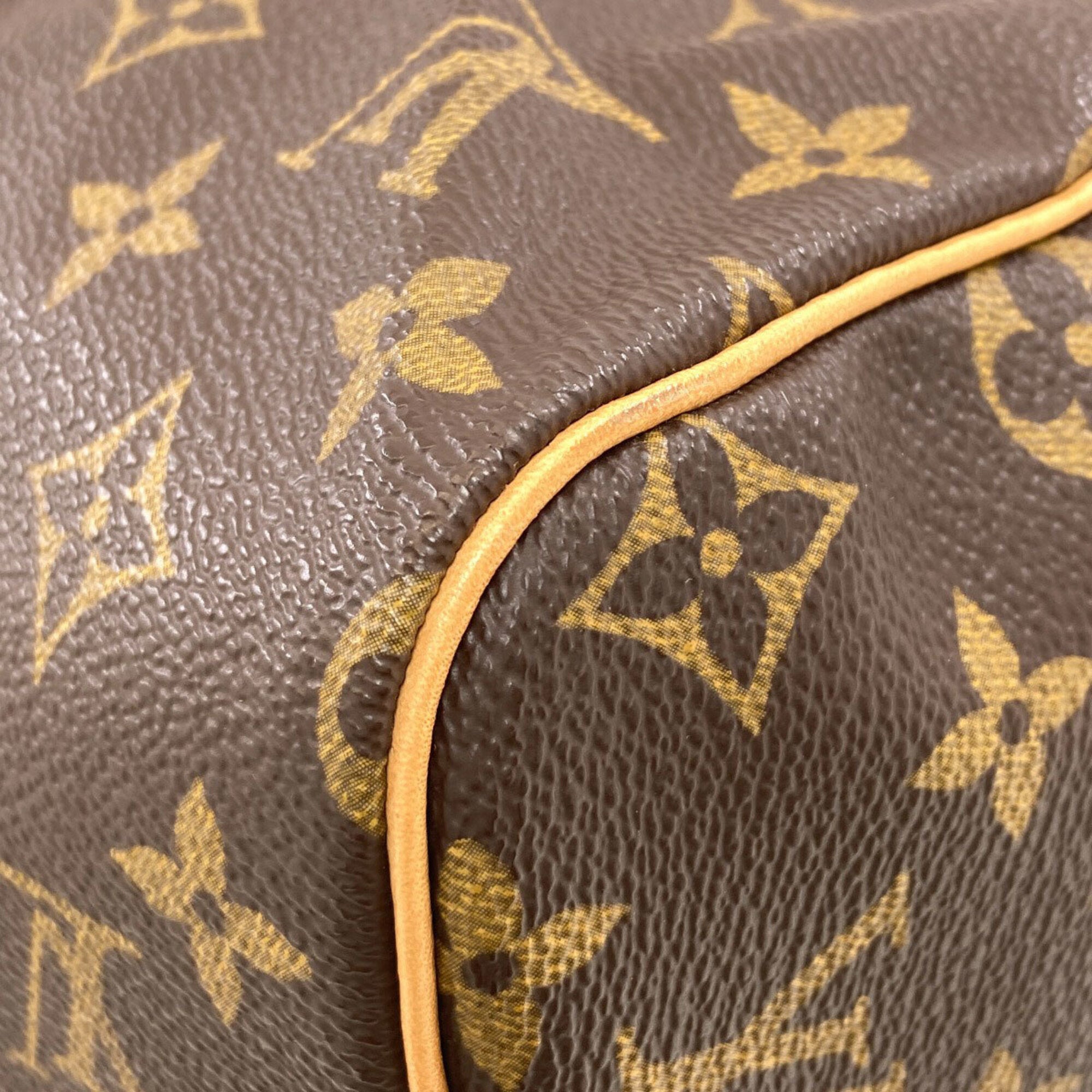 Louis Vuitton Monogram Monogram Monogram Handbag (Pre-Owned)