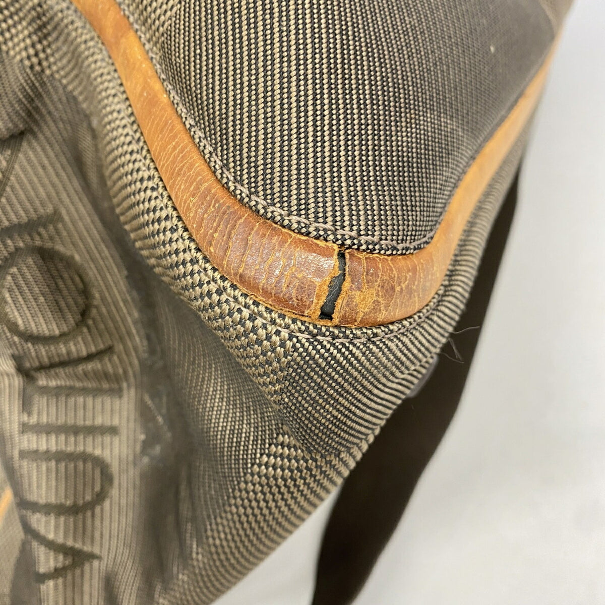 Louis Vuitton Earth Boston Bag (Pre-Owned)