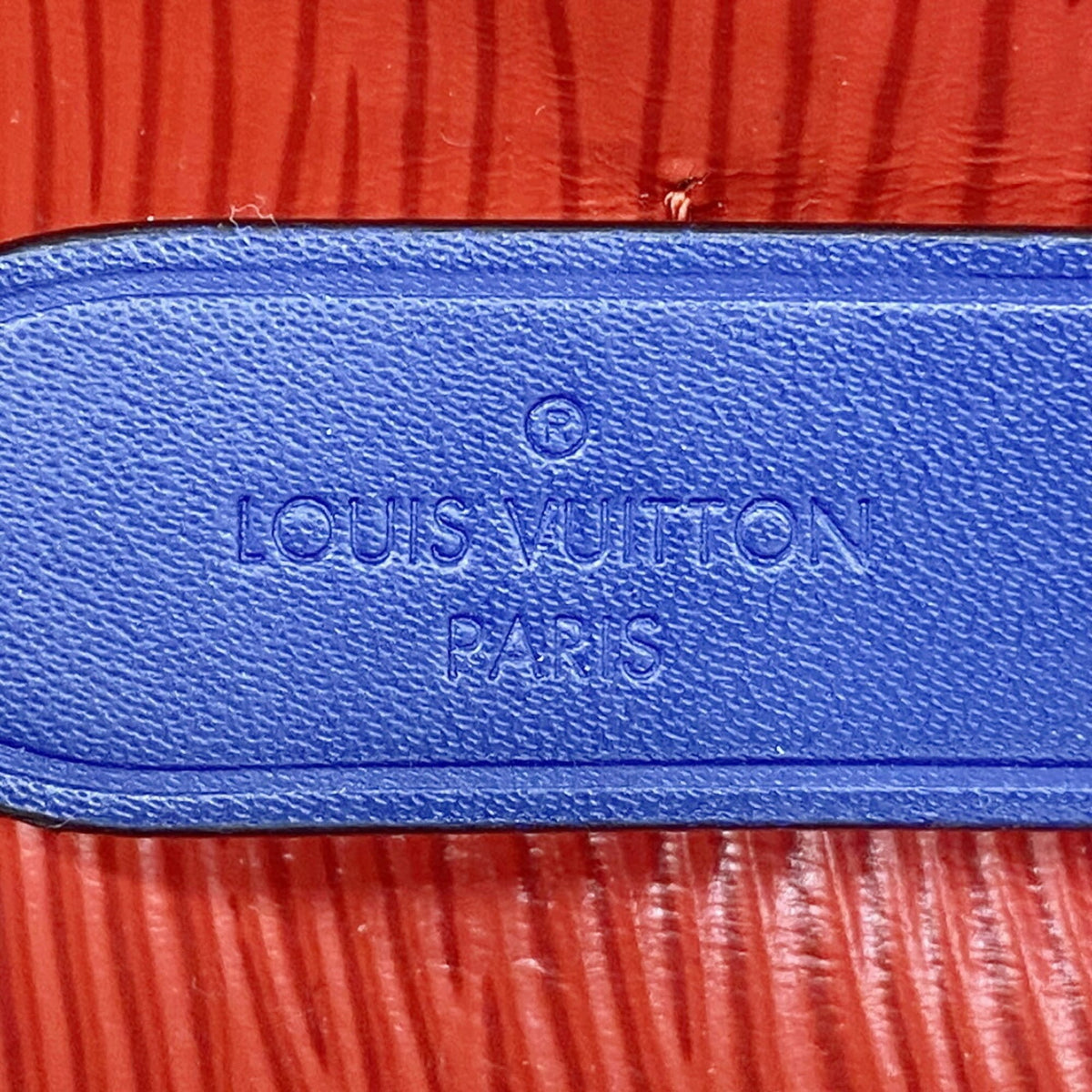Louis Vuitton Blue Coquelicots Handbag (Pre-Owned)