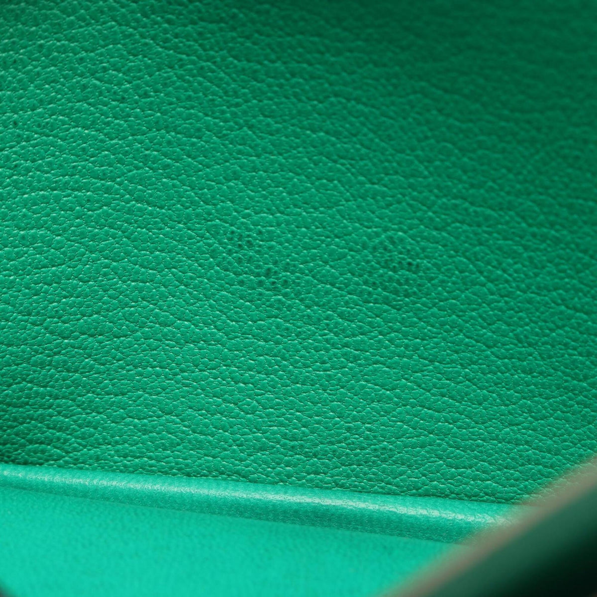Hermes Green Mint Green Chevre Leather Leather Long Wallet (Bi-Fold) (Pre-Owned)