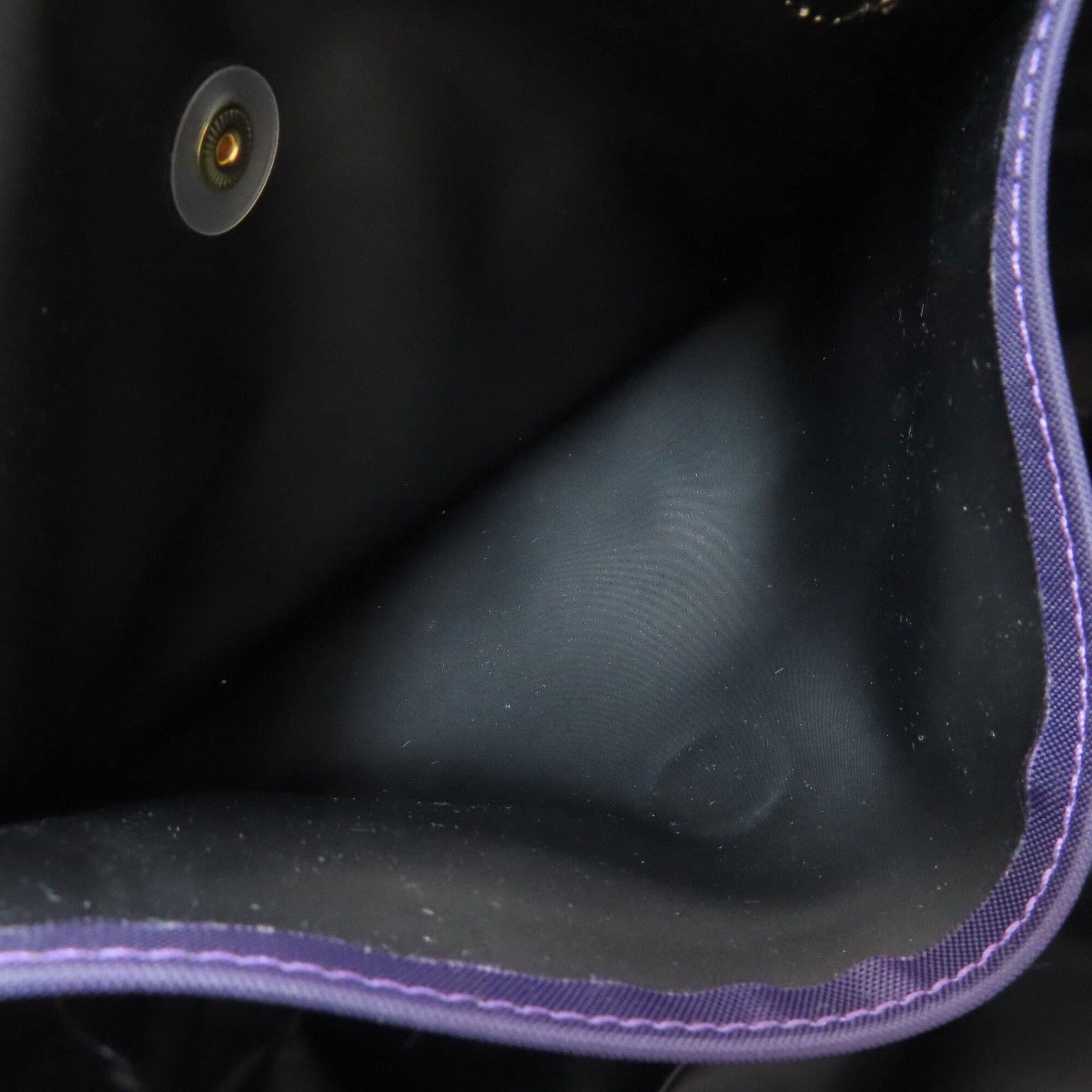 Longchamp Purple Nylon Handbag (Pre-Owned)