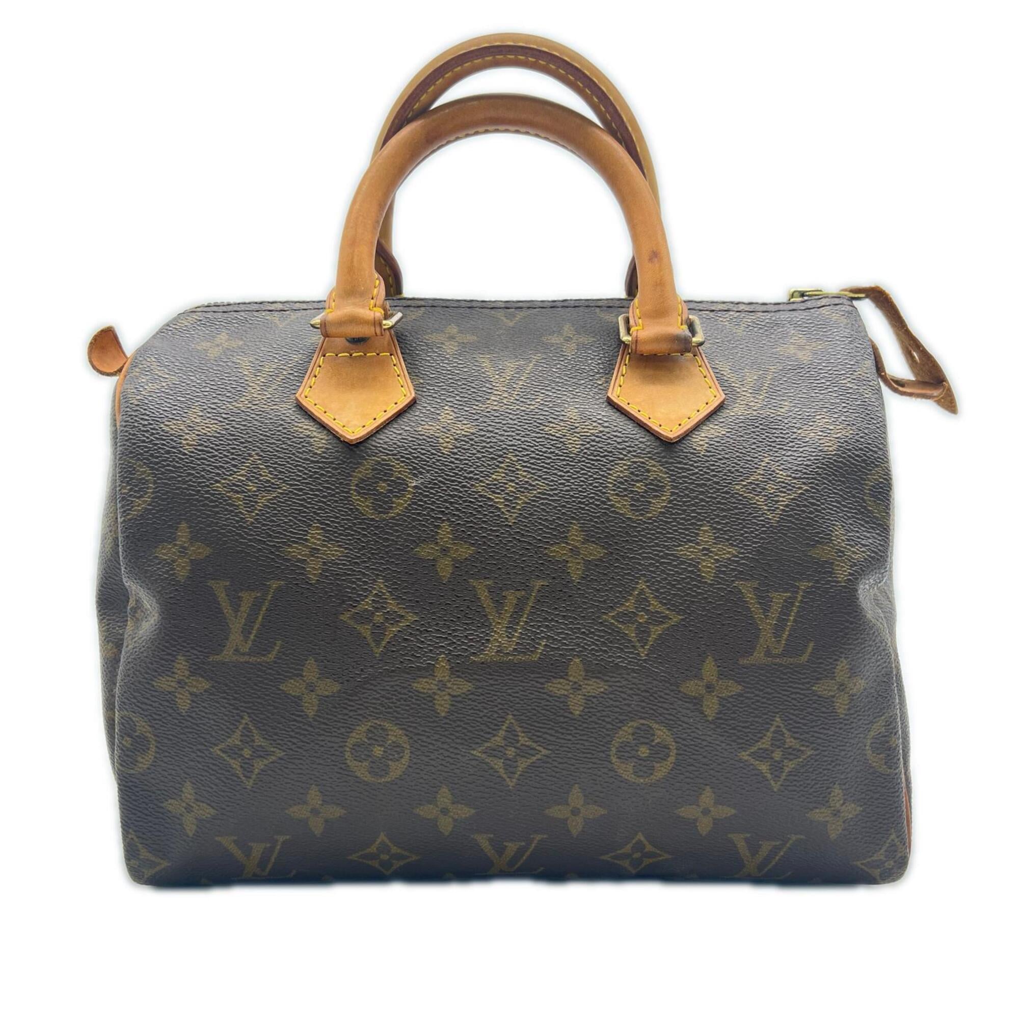 Louis Vuitton Beige Brown Coated Canvas Leather Handbag (Pre-Owned)