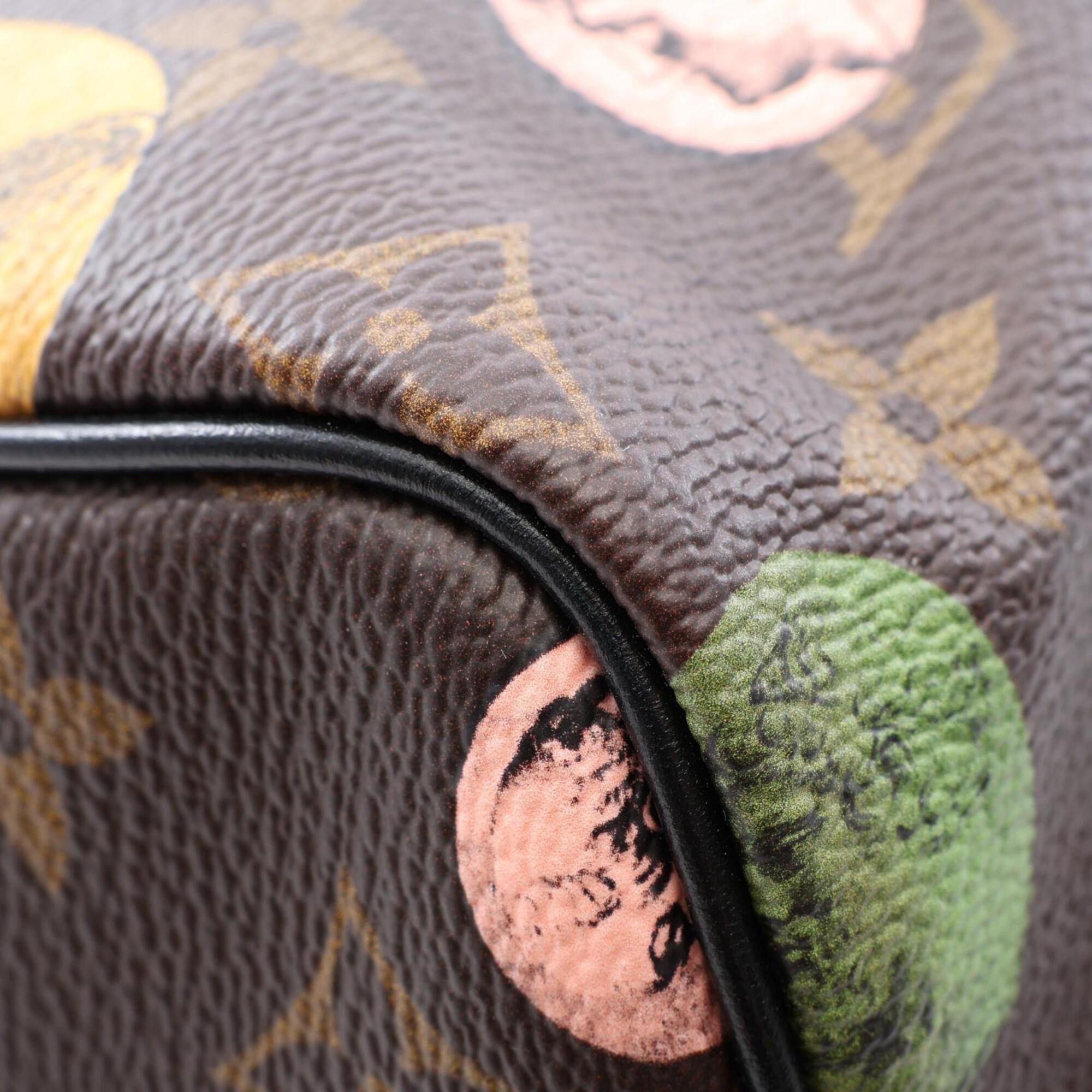 Louis Vuitton Brown Multi-Color Coated Canvas Leather Handbag (Pre-Owned)