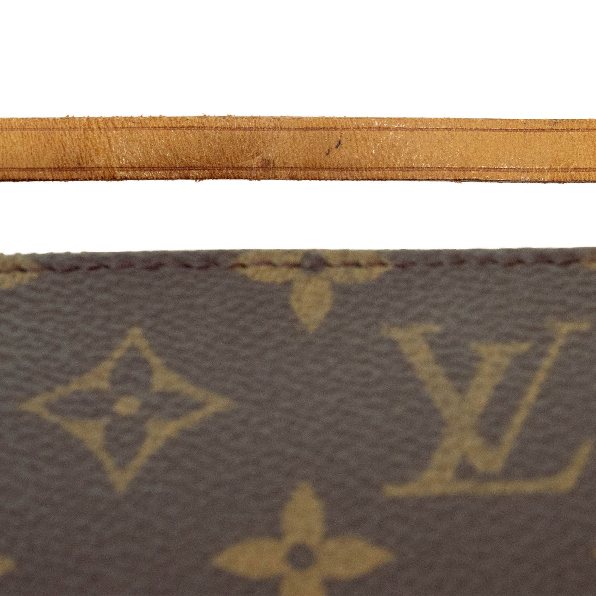 Louis Vuitton Monogram Monogram Pochette Pouch (Pre-Owned)
