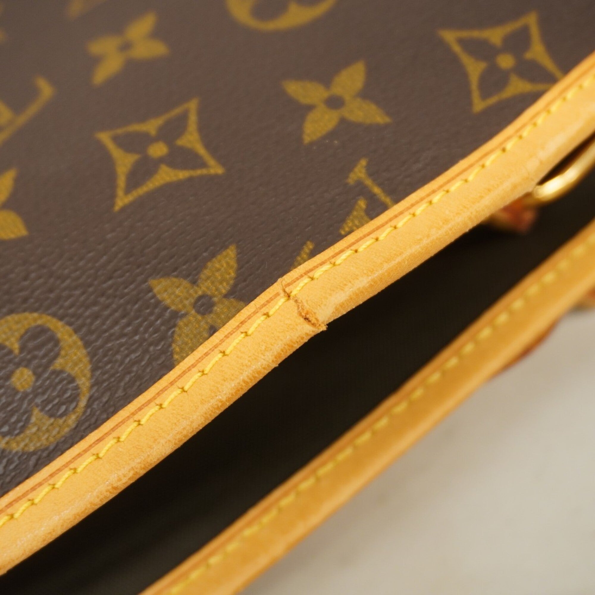 Louis Vuitton Brown Garment Case (Pre-Owned)