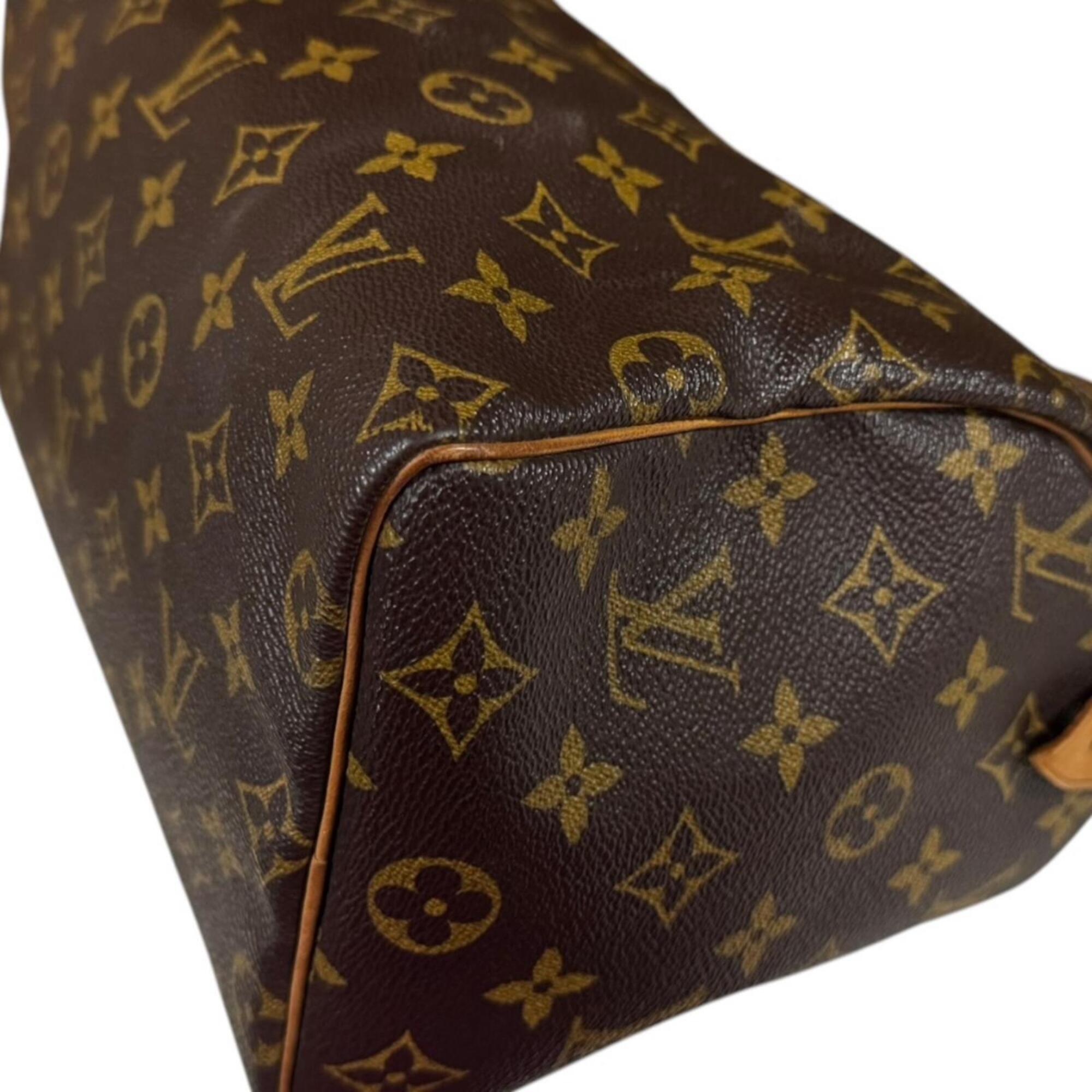 Louis Vuitton Brown Monogram Canvas Handbag (Pre-Owned)