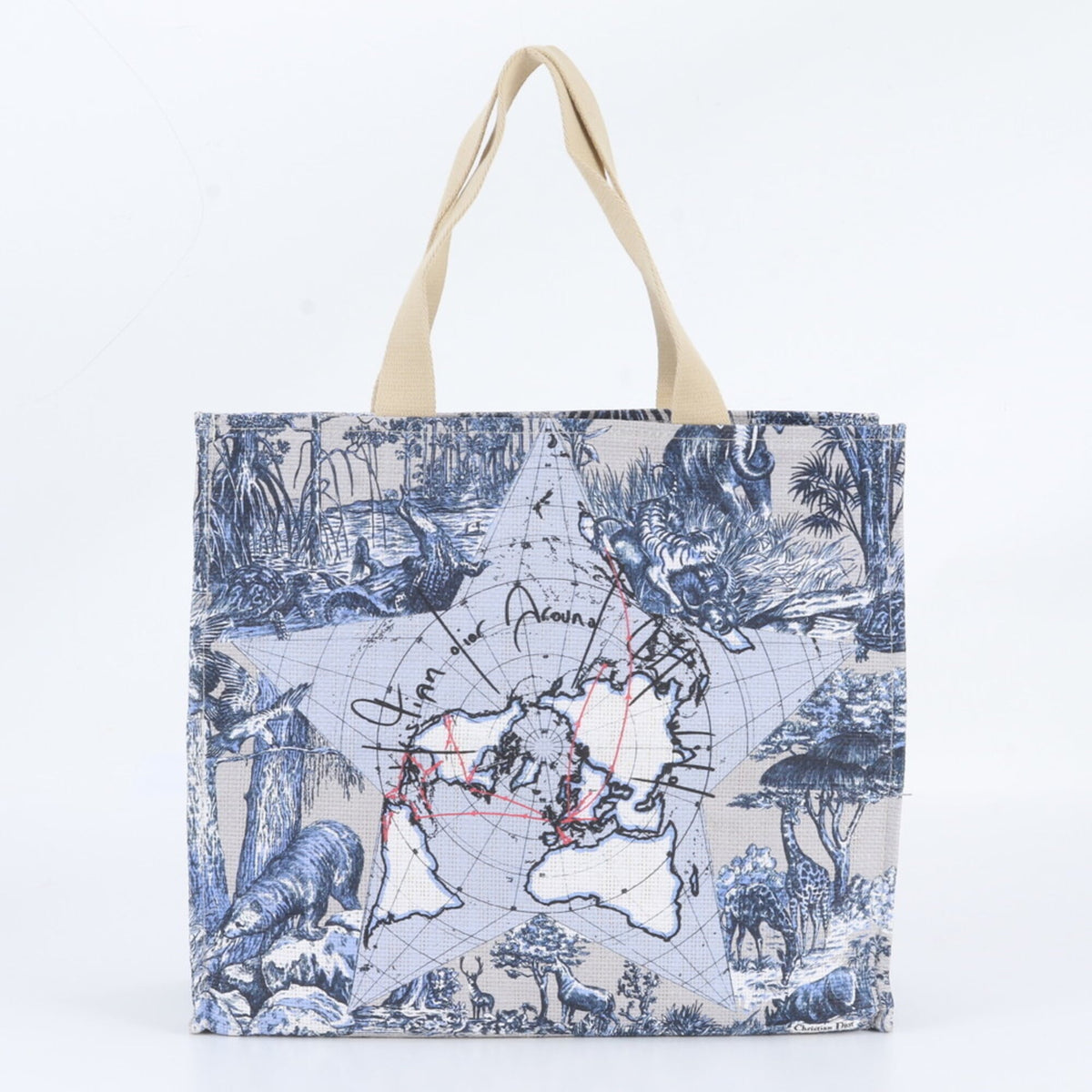 Christian Dior Blue Tote Bag (Pre-Owned)