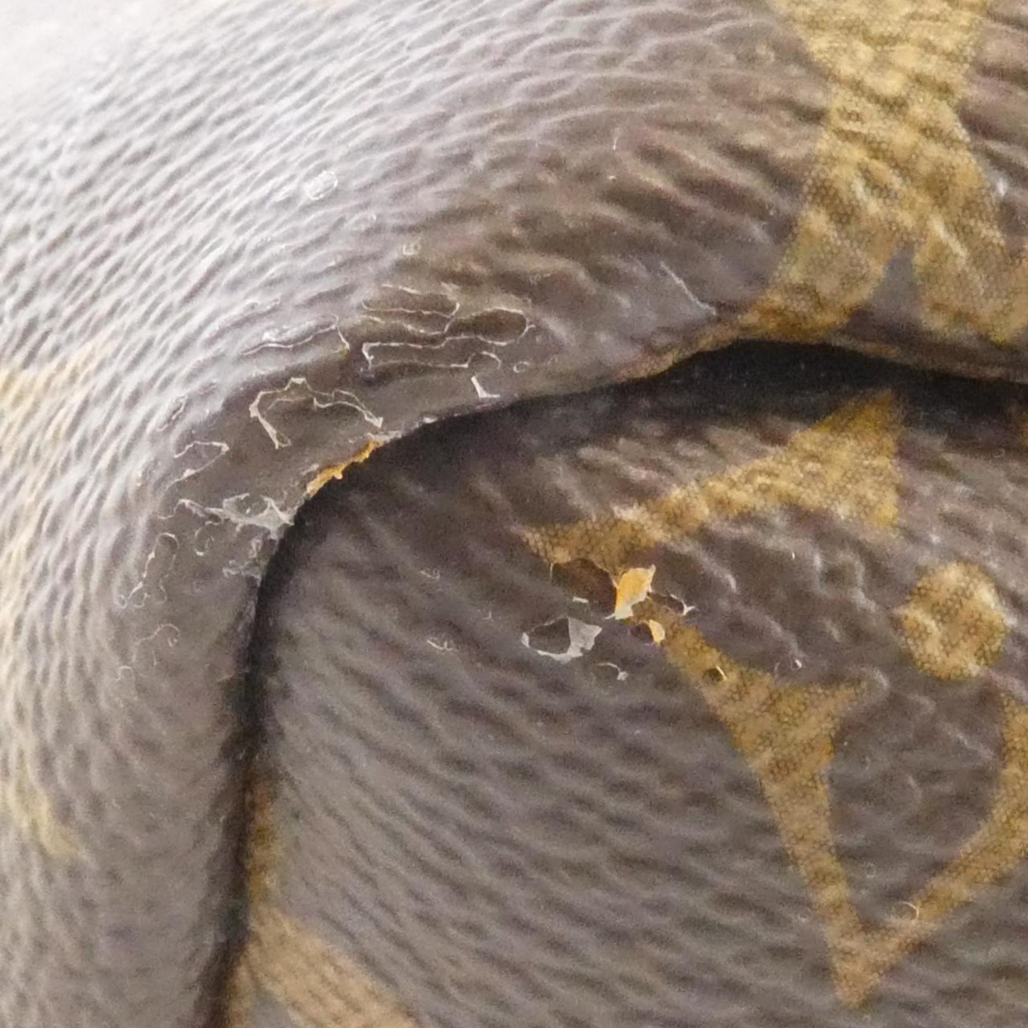 Louis Vuitton Brown Coated Canvas Backpack (Pre-Owned)
