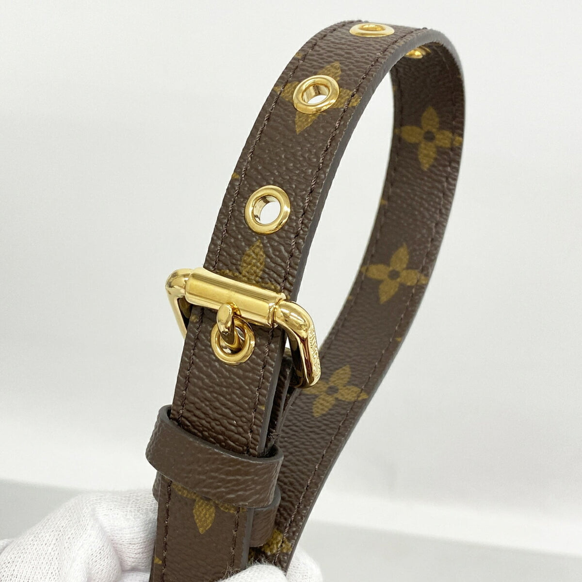 Louis Vuitton Raisin Handbag (Pre-Owned)